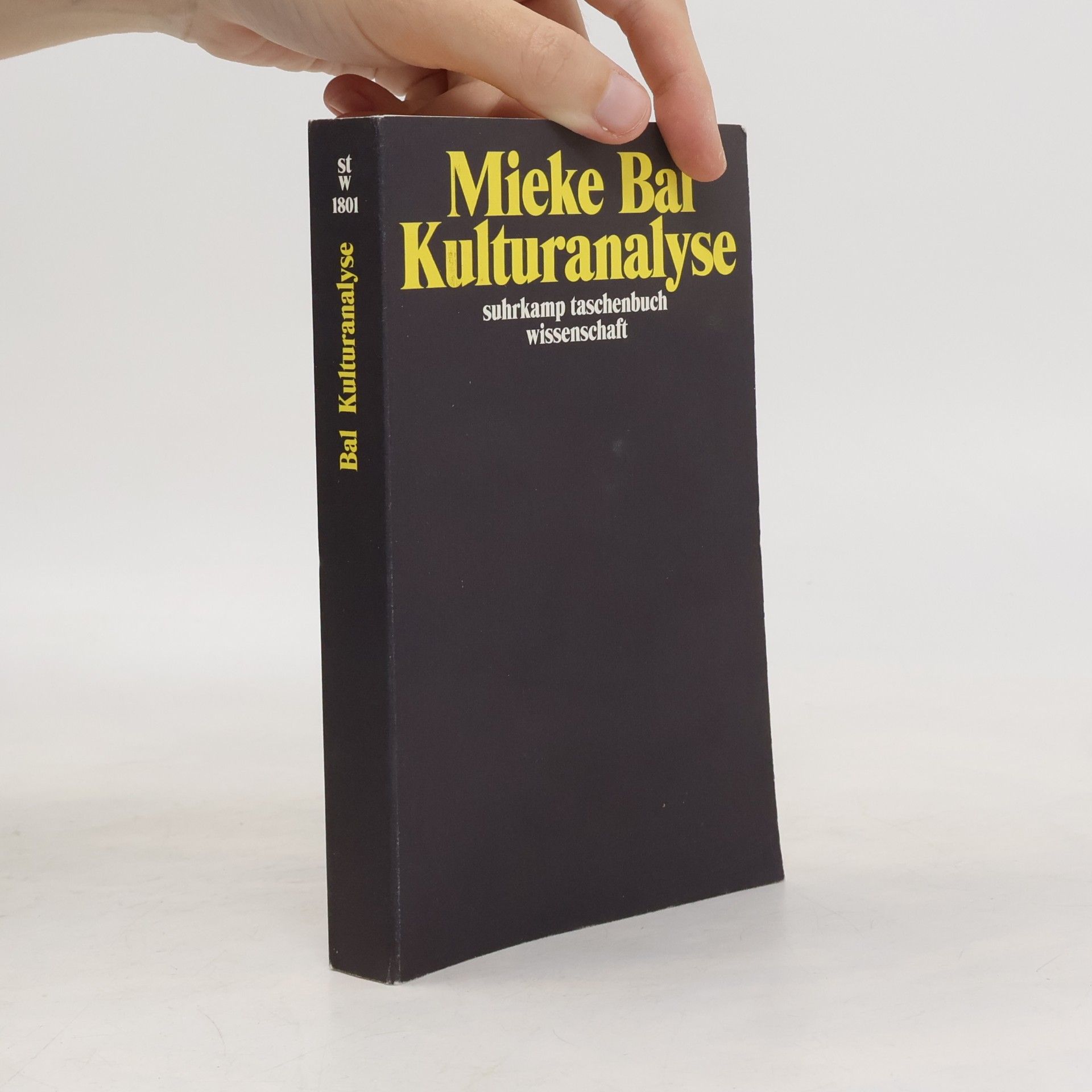 Suhrkamp Taschenbuch Wissenschaft - 1801: Kulturanalyse