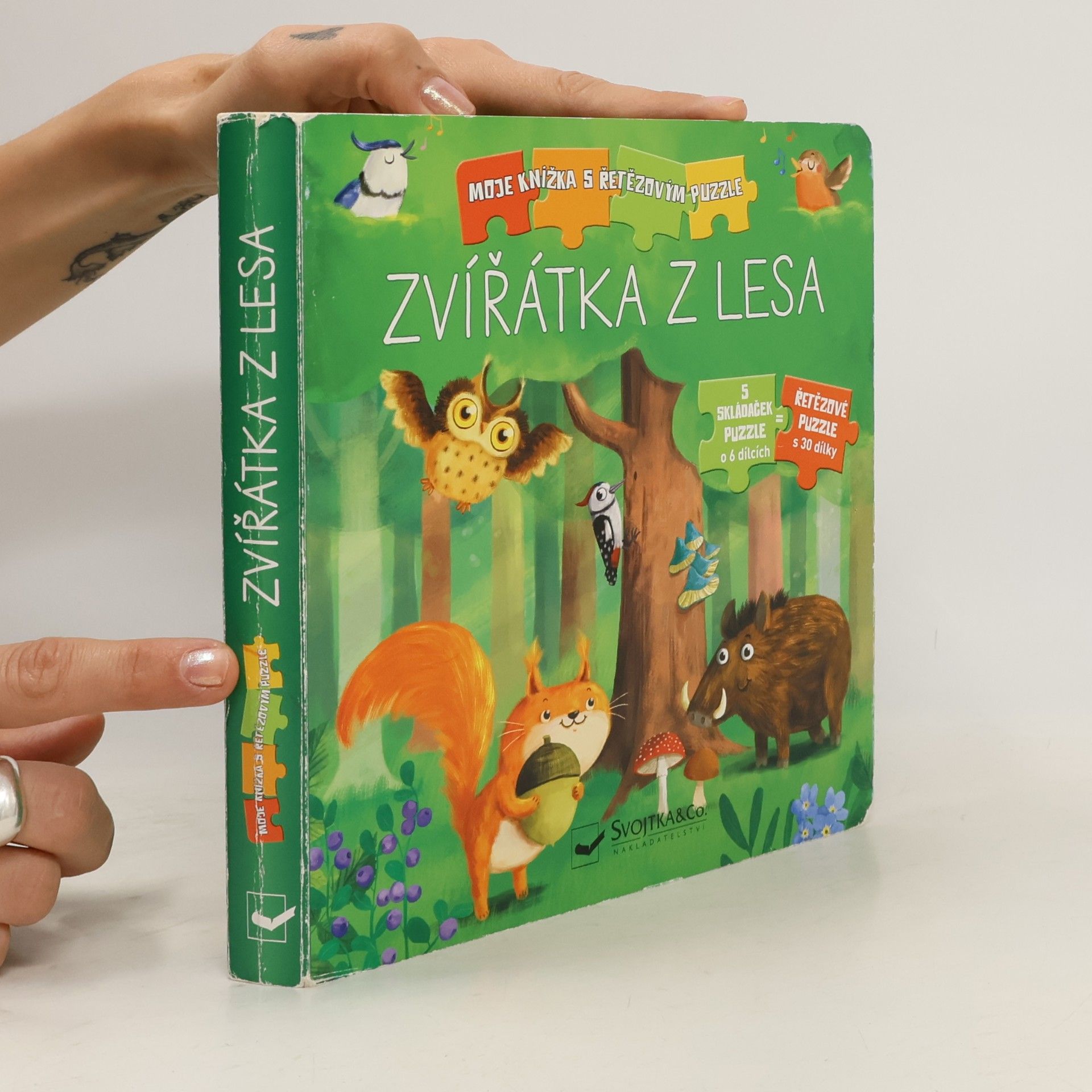 Carola von Kessel Zvířátka z lesa
