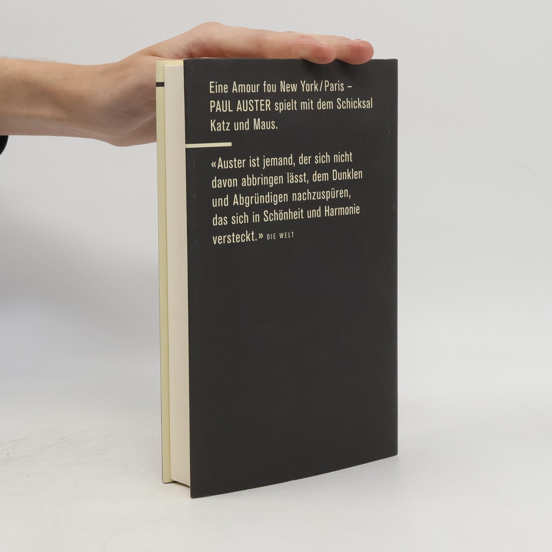 Paul Auster Unsichtbar
