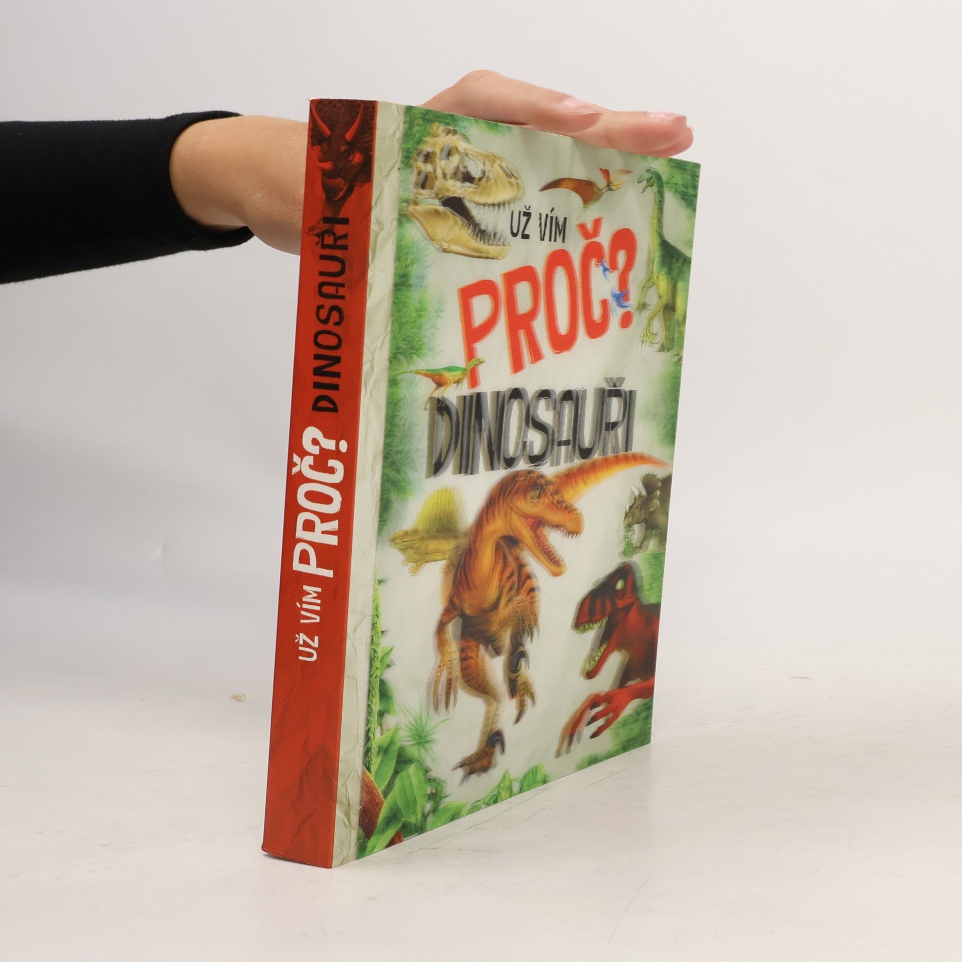 Kateřina Piorecká Dinosauři
