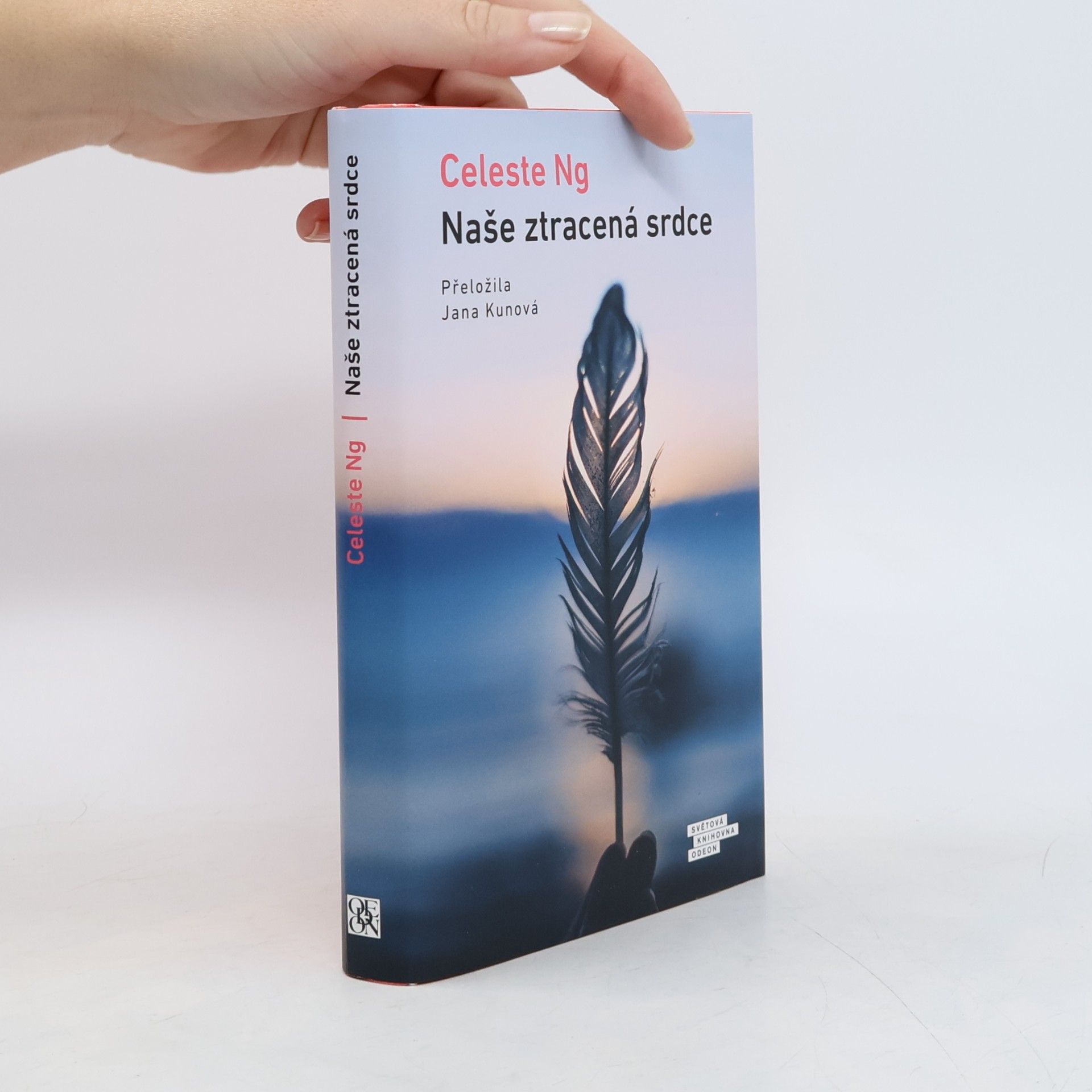 Celeste Ng Naše ztracená srdce