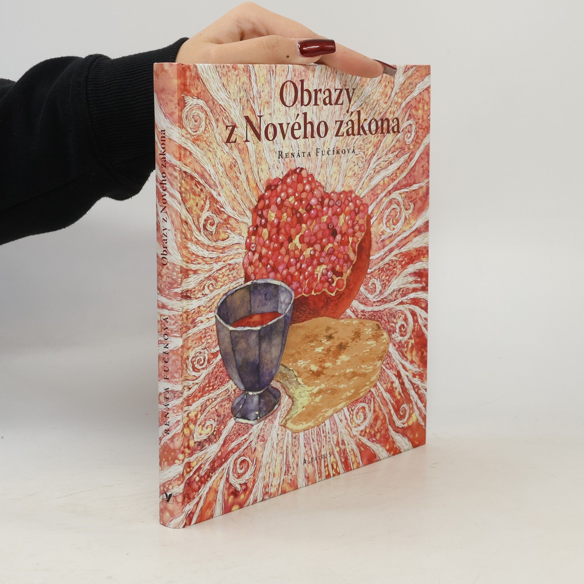 Renáta Fučíková Obrazy z Nového zákona