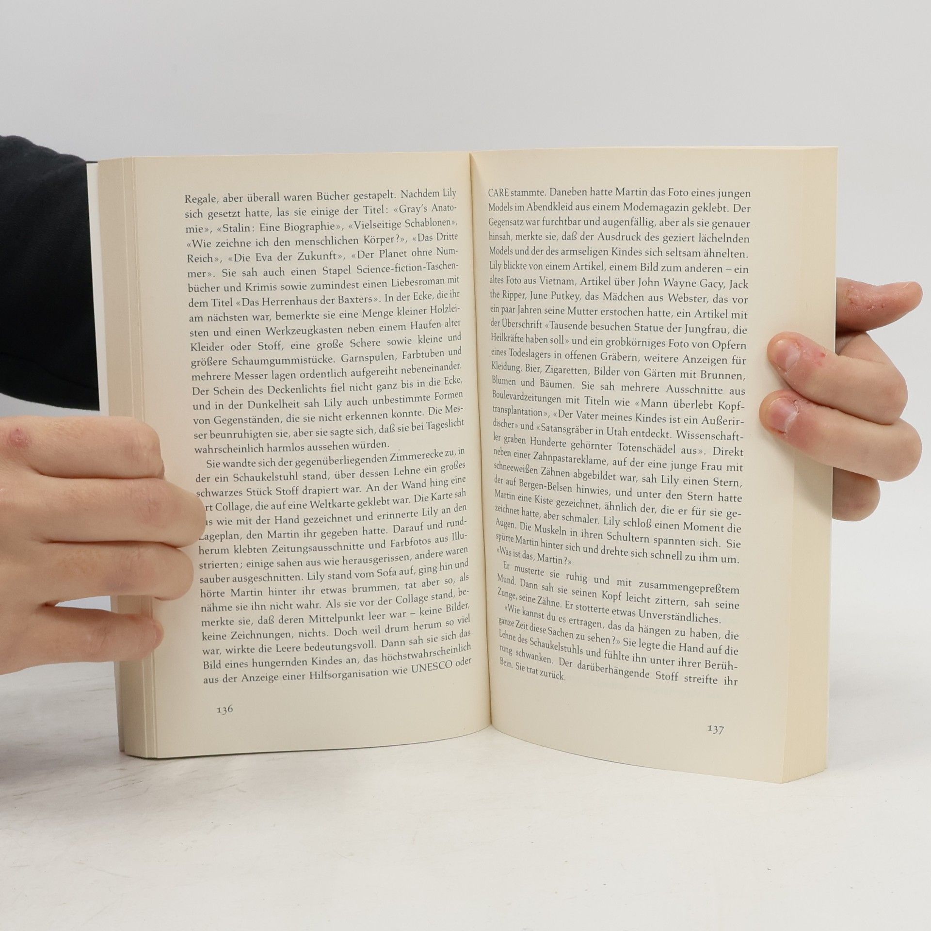 Siri Hustvedt Die Verzauberung der Lily Dahl