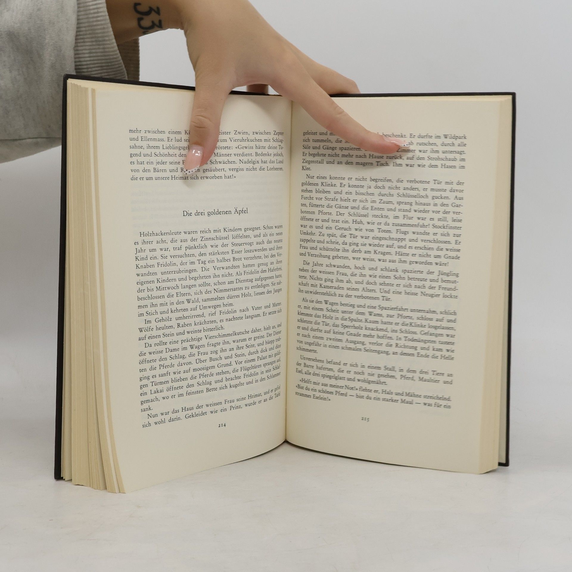 Johannes Jegerlehner Walliser Sagen. Ein Heimatbuch für Jung und Alt