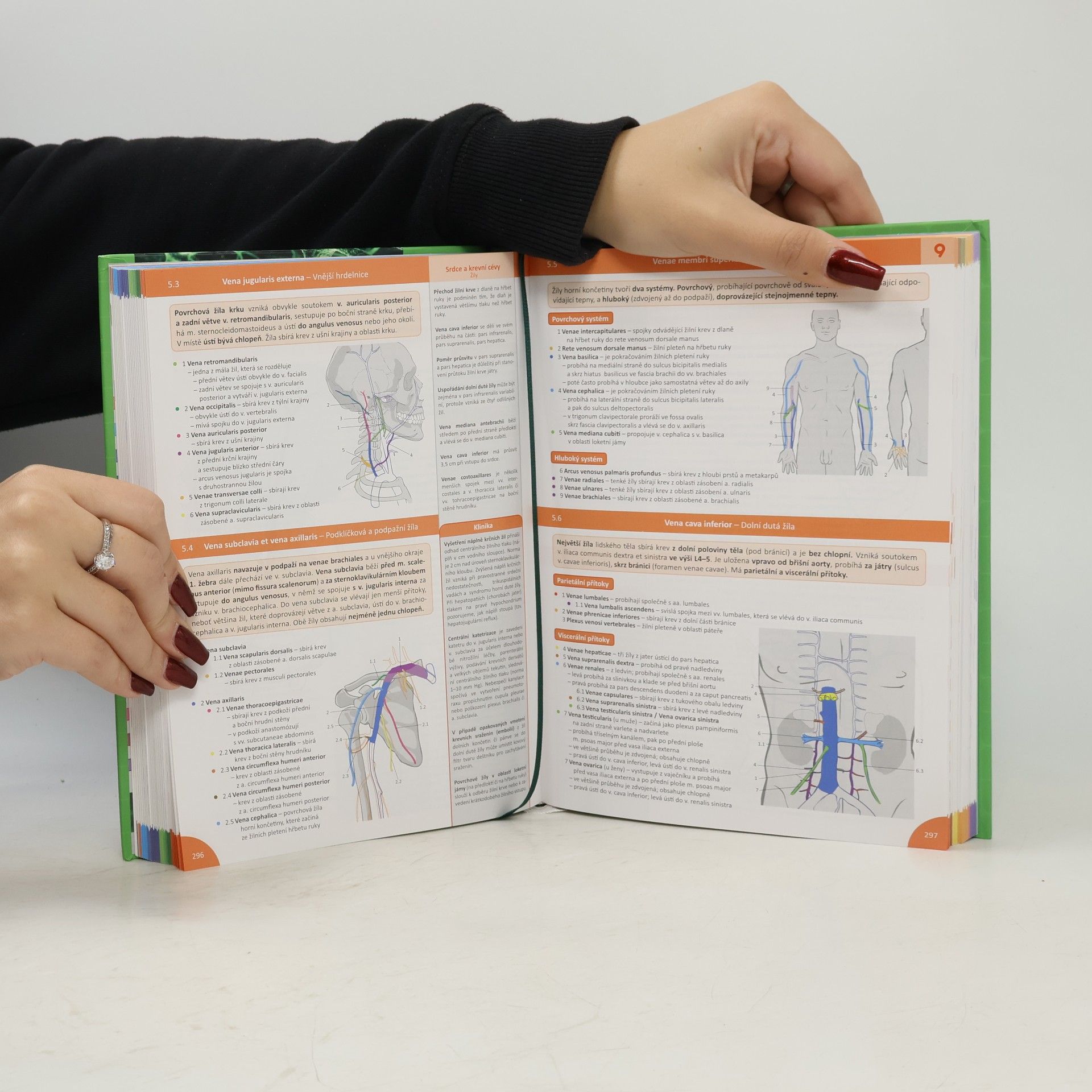 Radovan Hudák Memorix anatomie