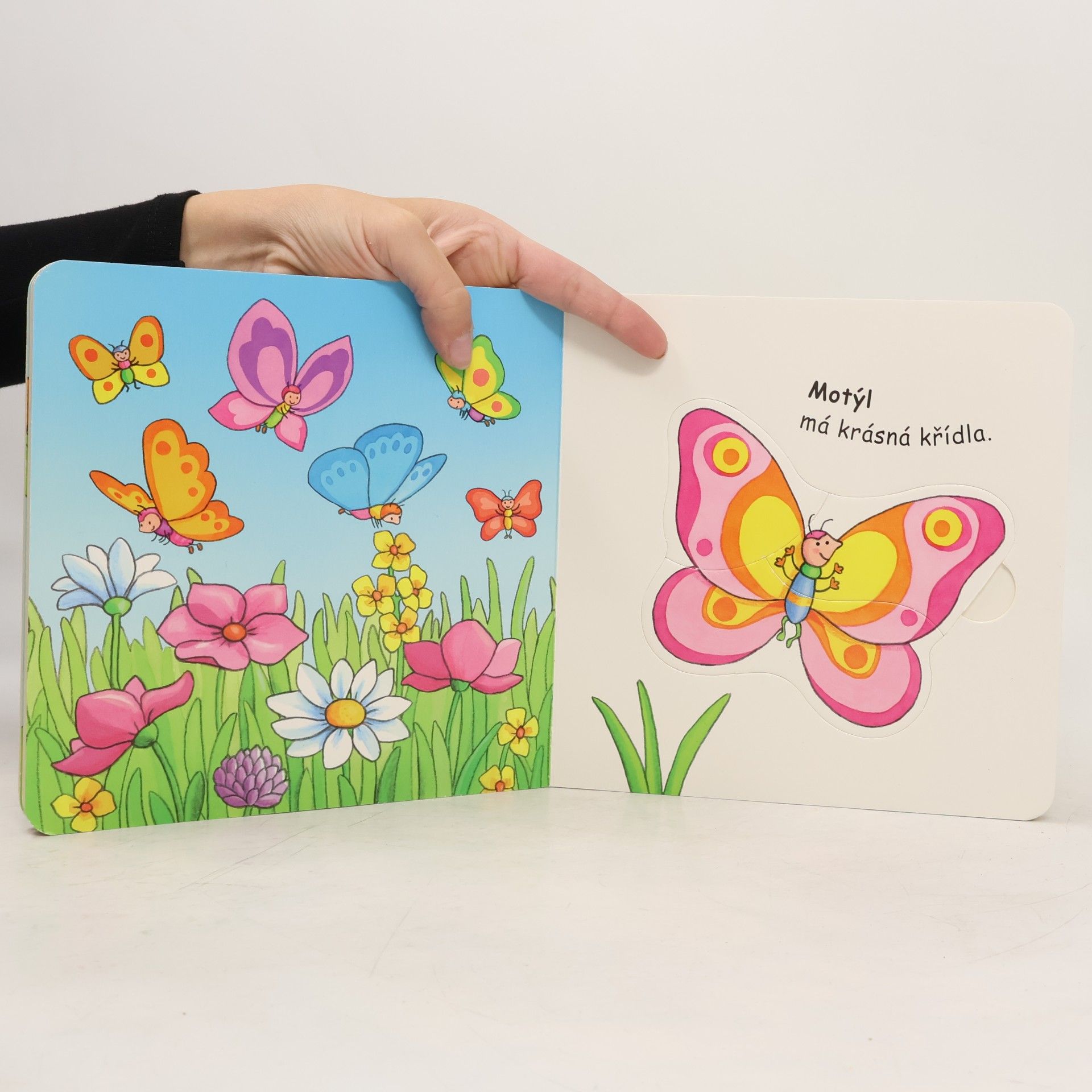 Vera Brüggemann Štěňátko: kniha s puzzle