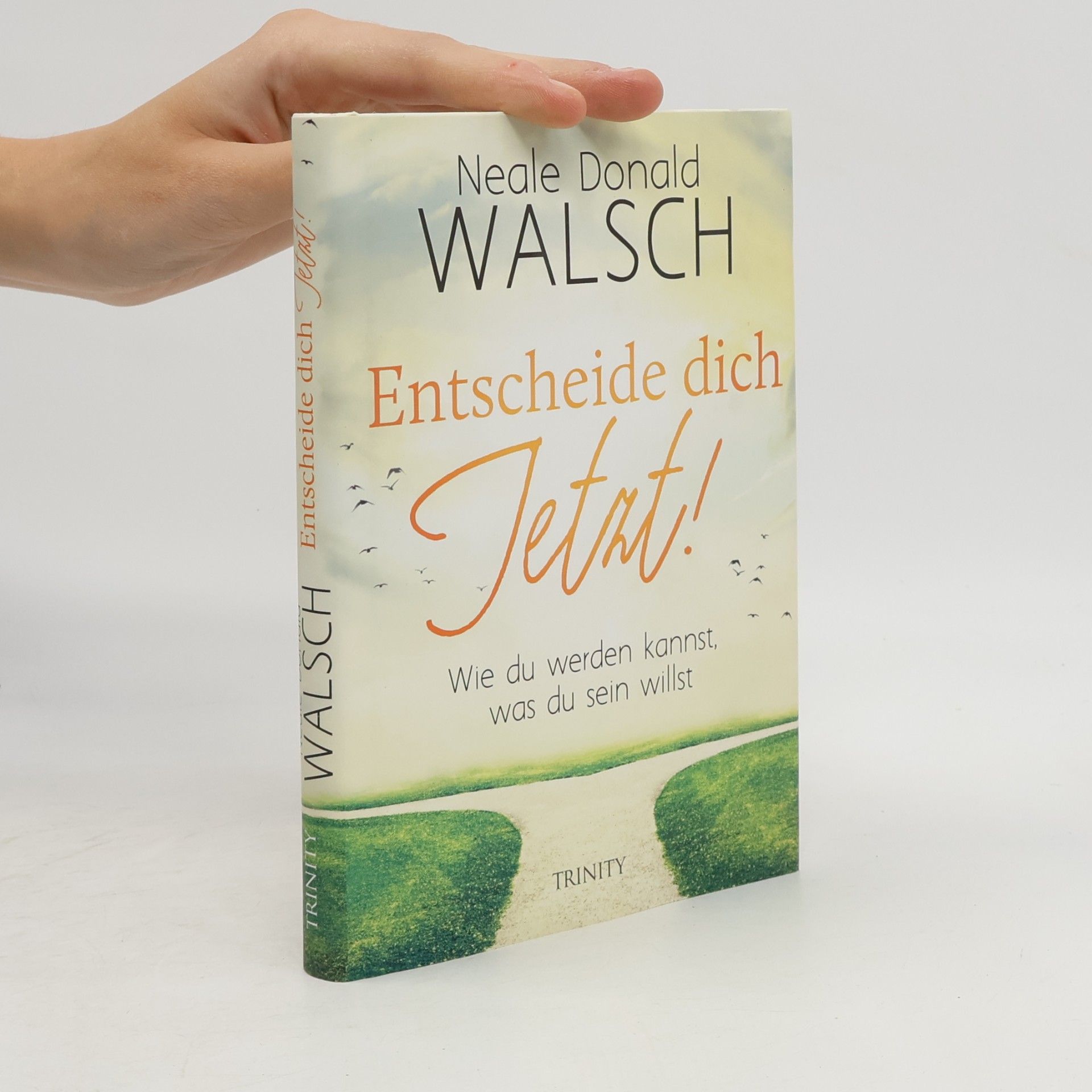 Neale Donald Walsch Entscheide dich jetzt!