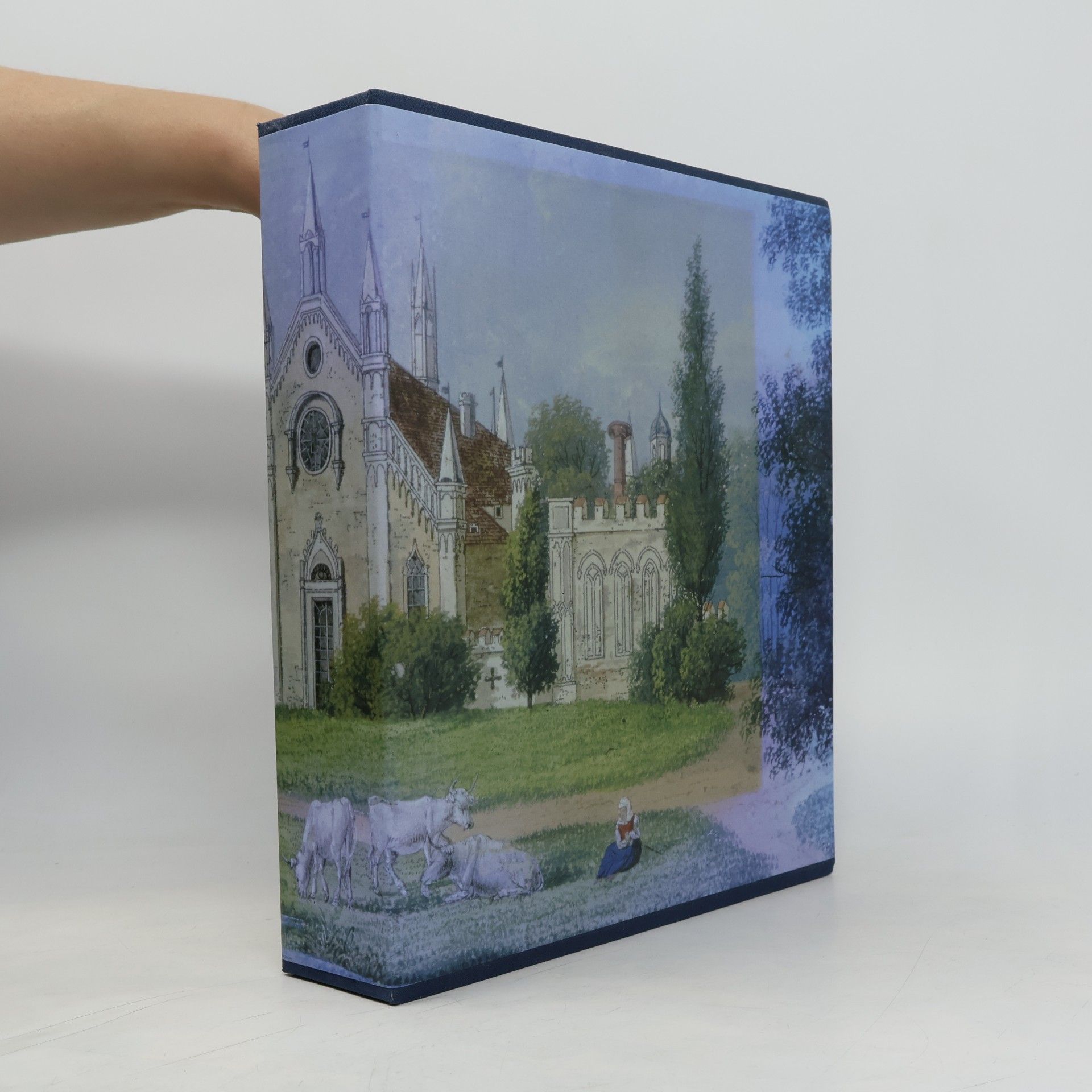 kolektiv Die Glasgemälde im Gotischen Haus zu Wörlitz (2 svazky)