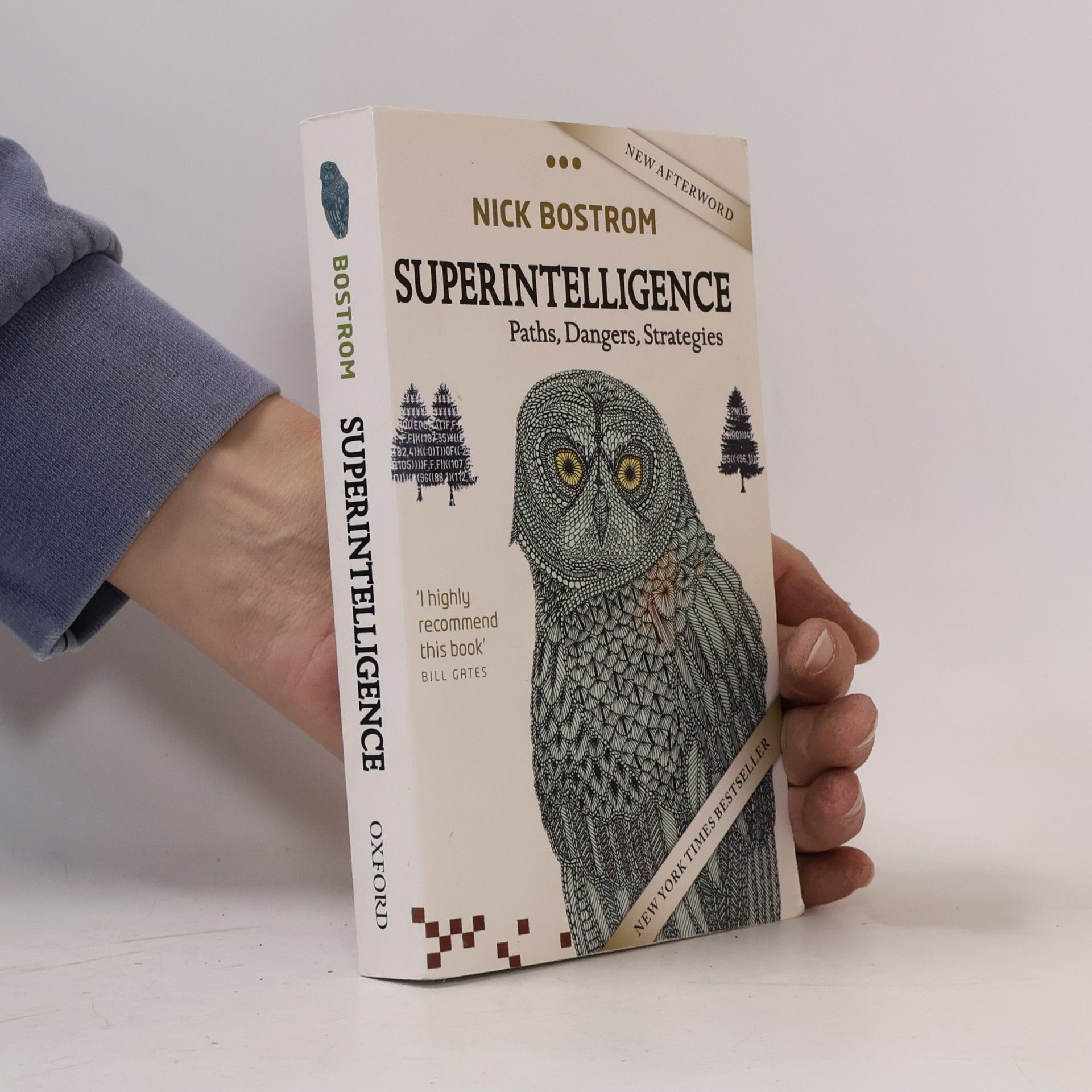Nick Bostrom Superintelligence