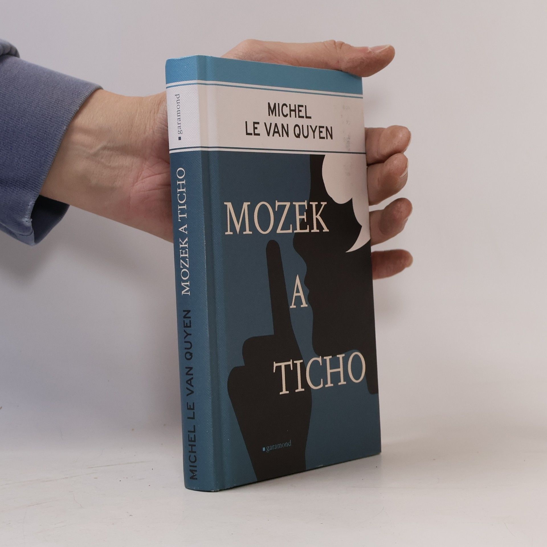 Michel Le Van Quyen Mozek a ticho