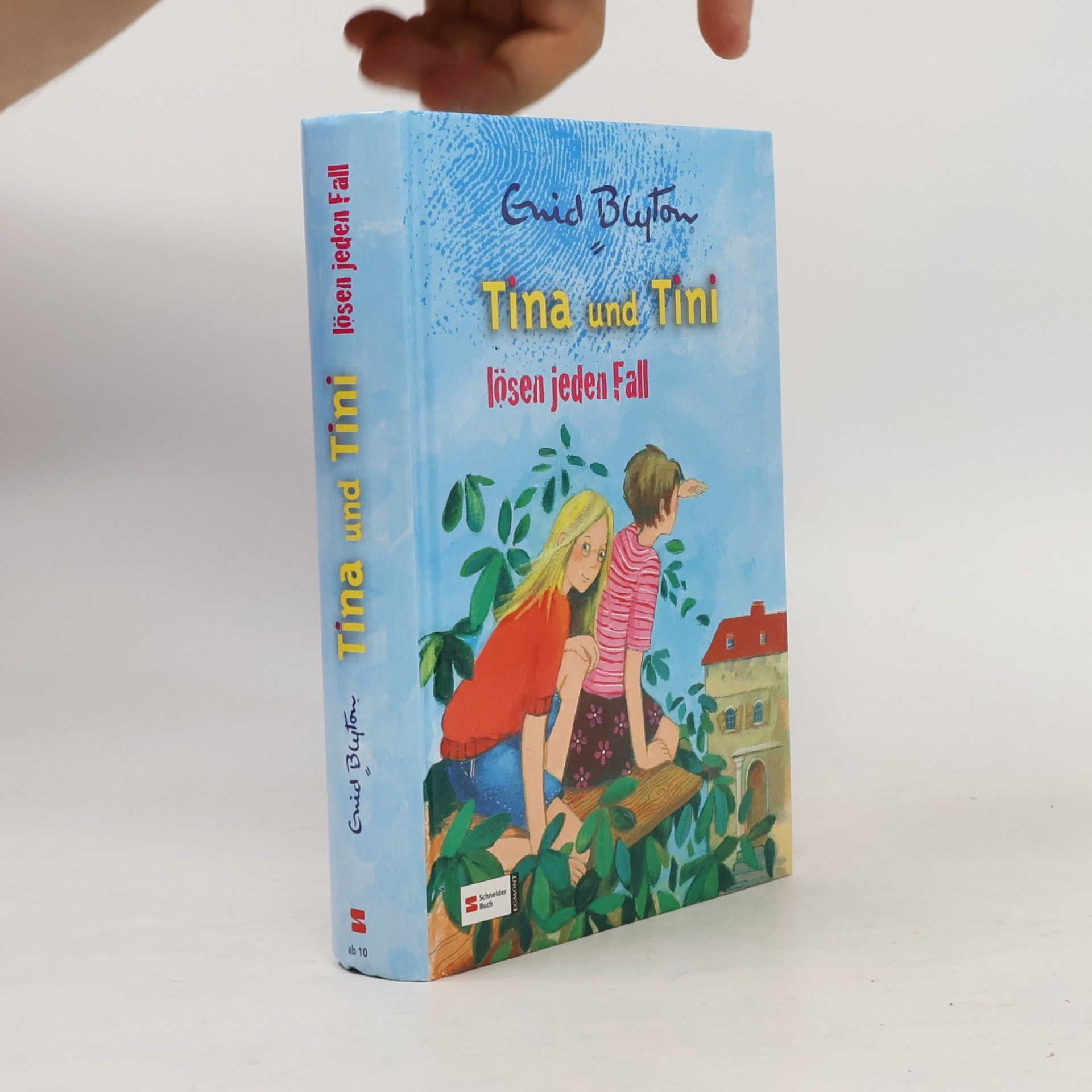 Enid Blyton Tina und Tini lösen jeden Fall