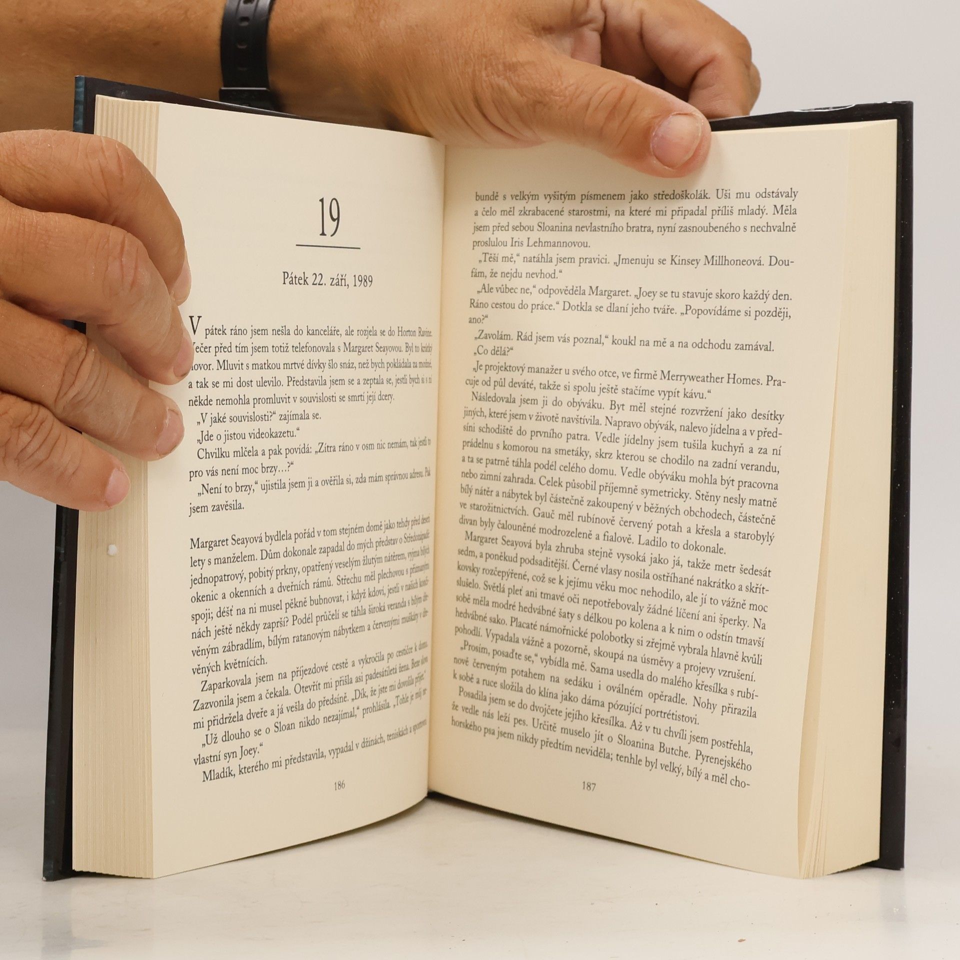 Sue Grafton Y jako… Ypsilon