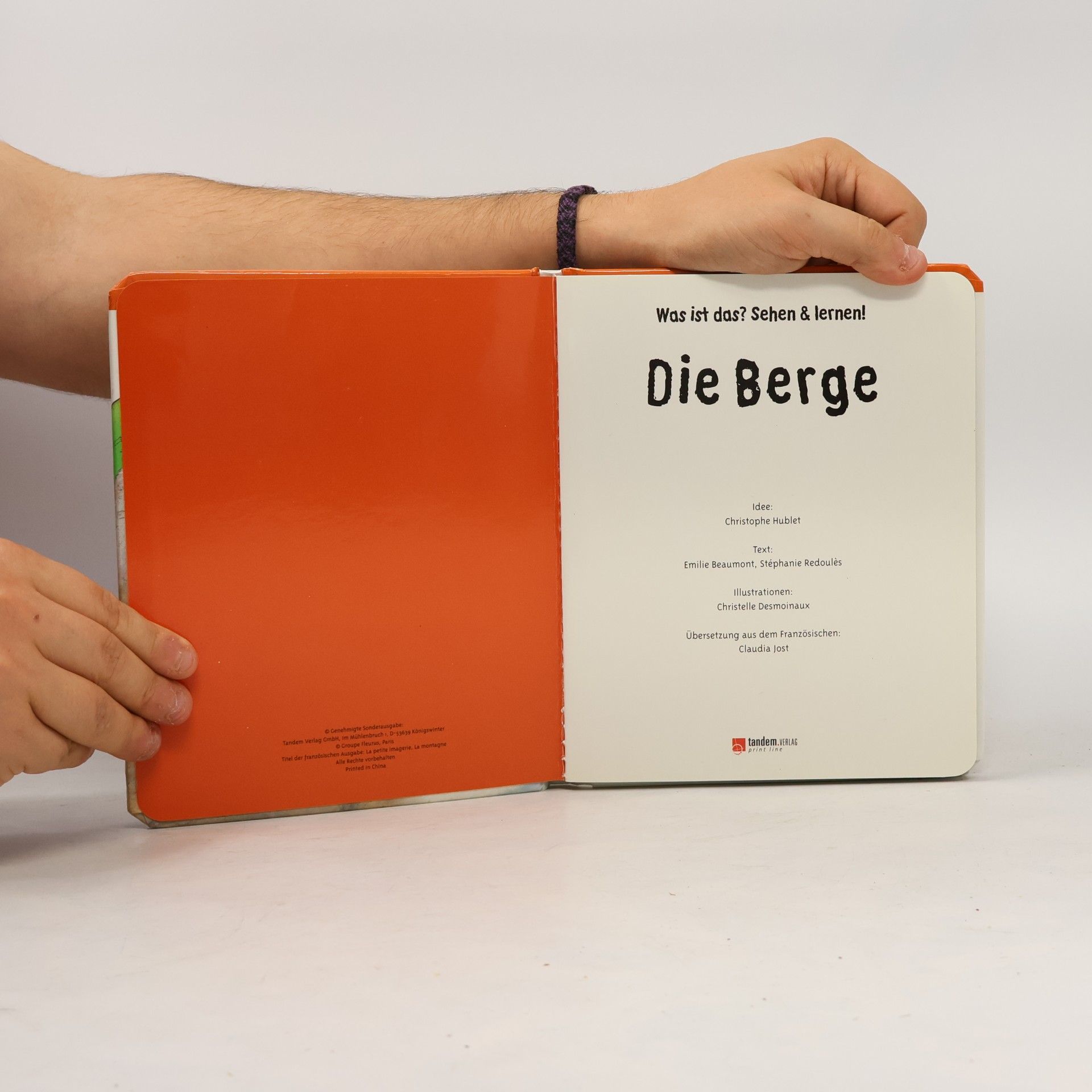 Various authors Die Berge