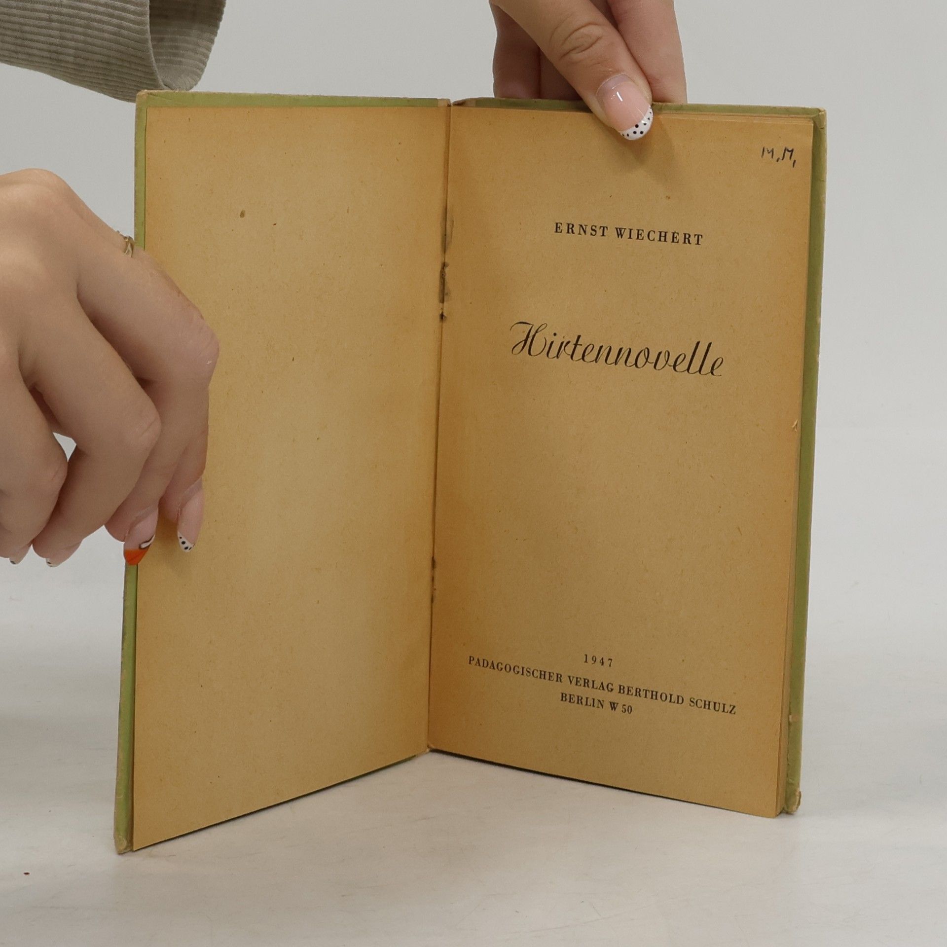 Ernst Wichert Hirtennovelle