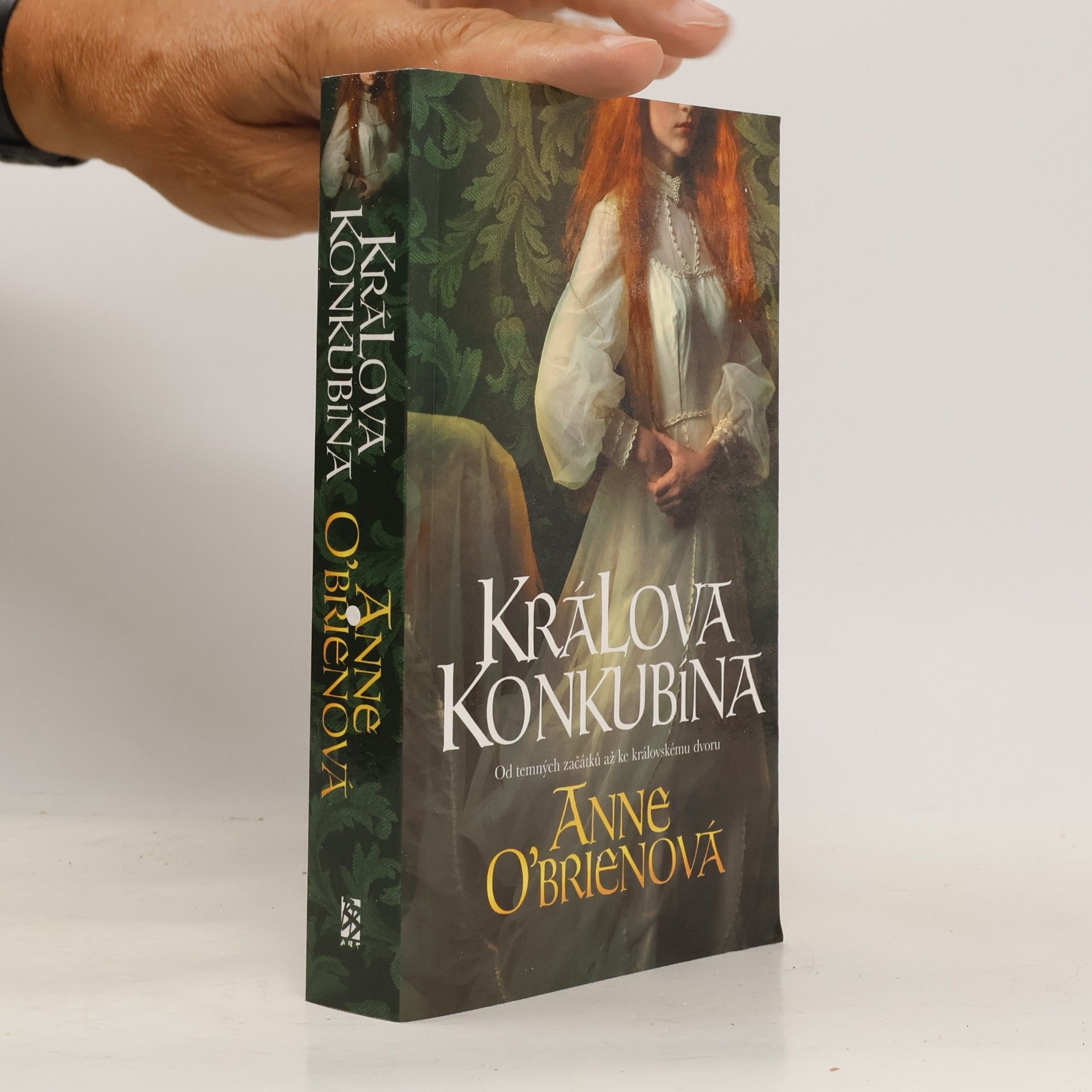 Anne O. Brien Králova konkubína