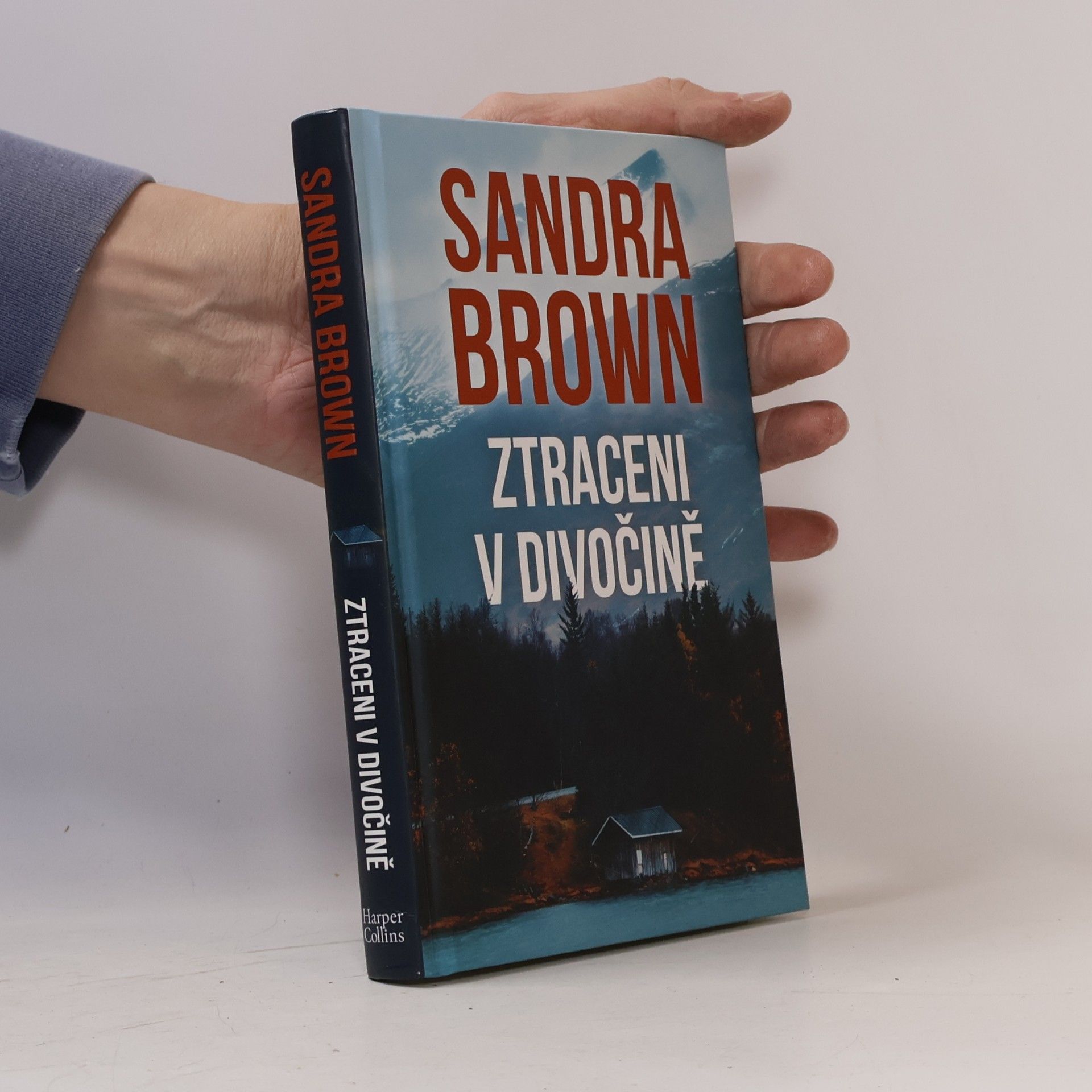 Sandra Brown Ztraceni v divočině