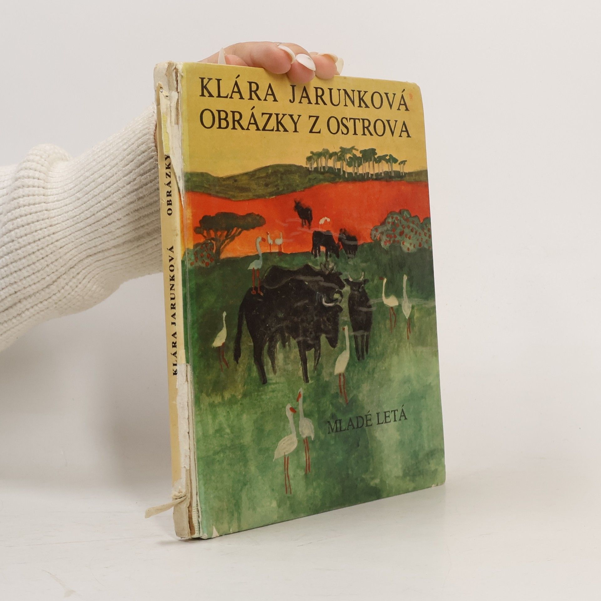 Obrázky z ostrova