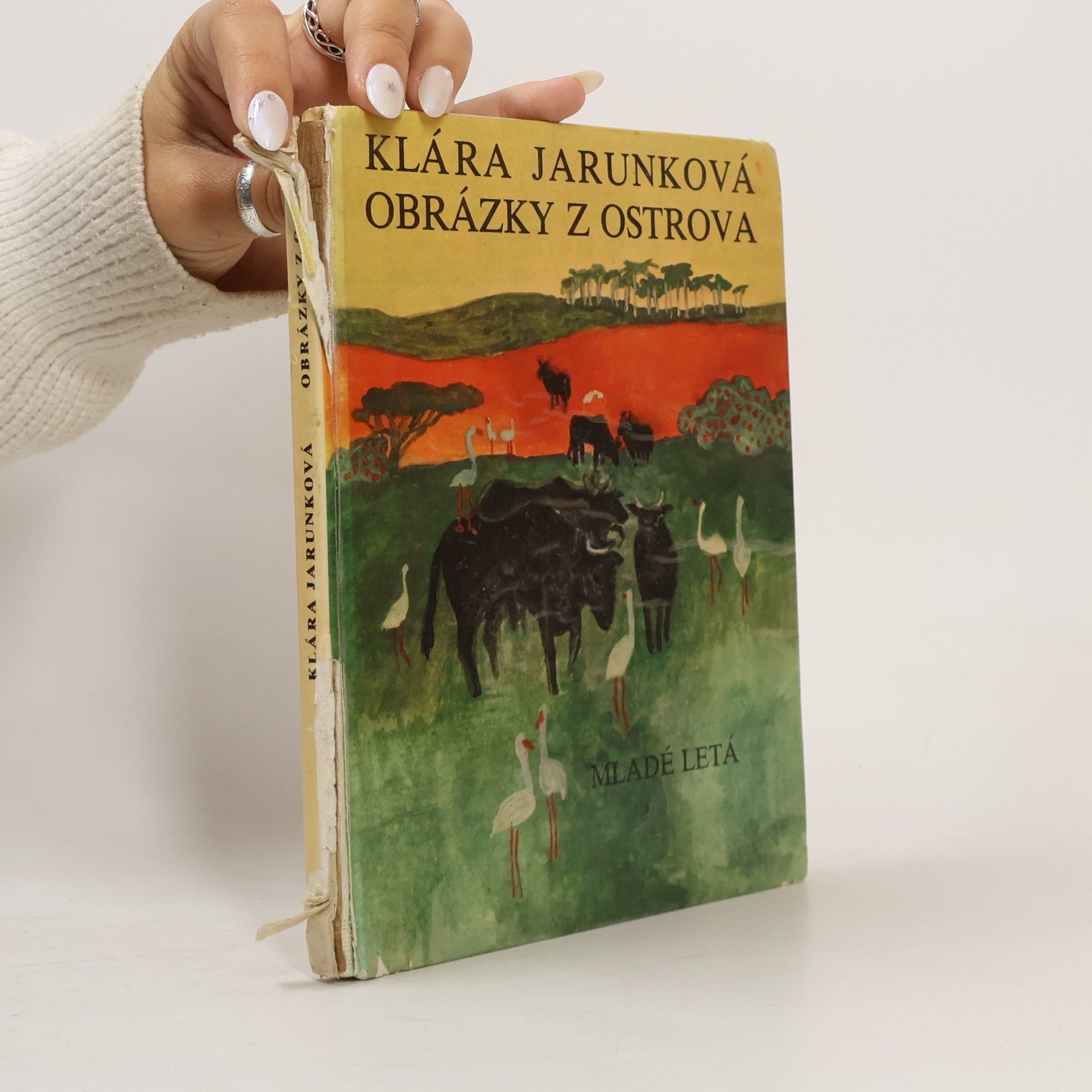 Klára Jarunková Obrázky z ostrova