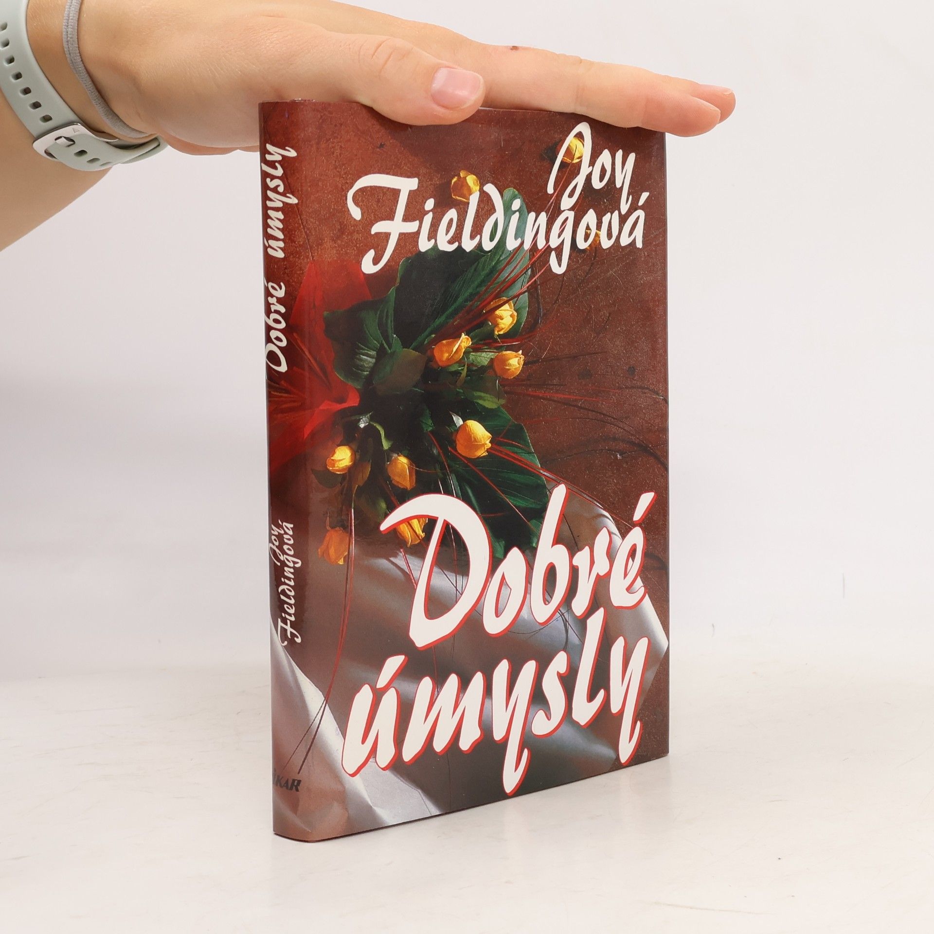 Joy Fielding Dobré úmysly