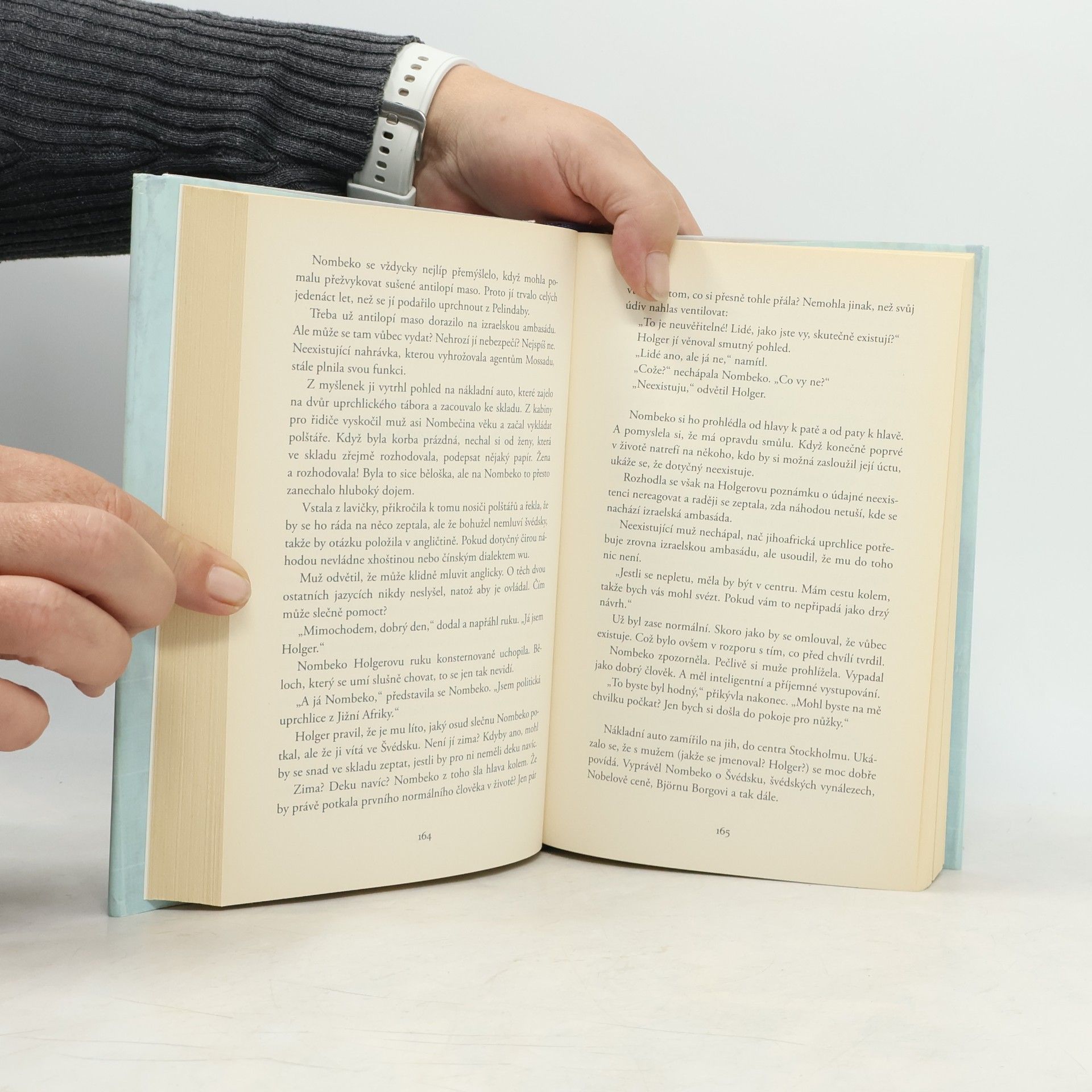 Jonas Jonasson Analfabetka, která uměla počítat