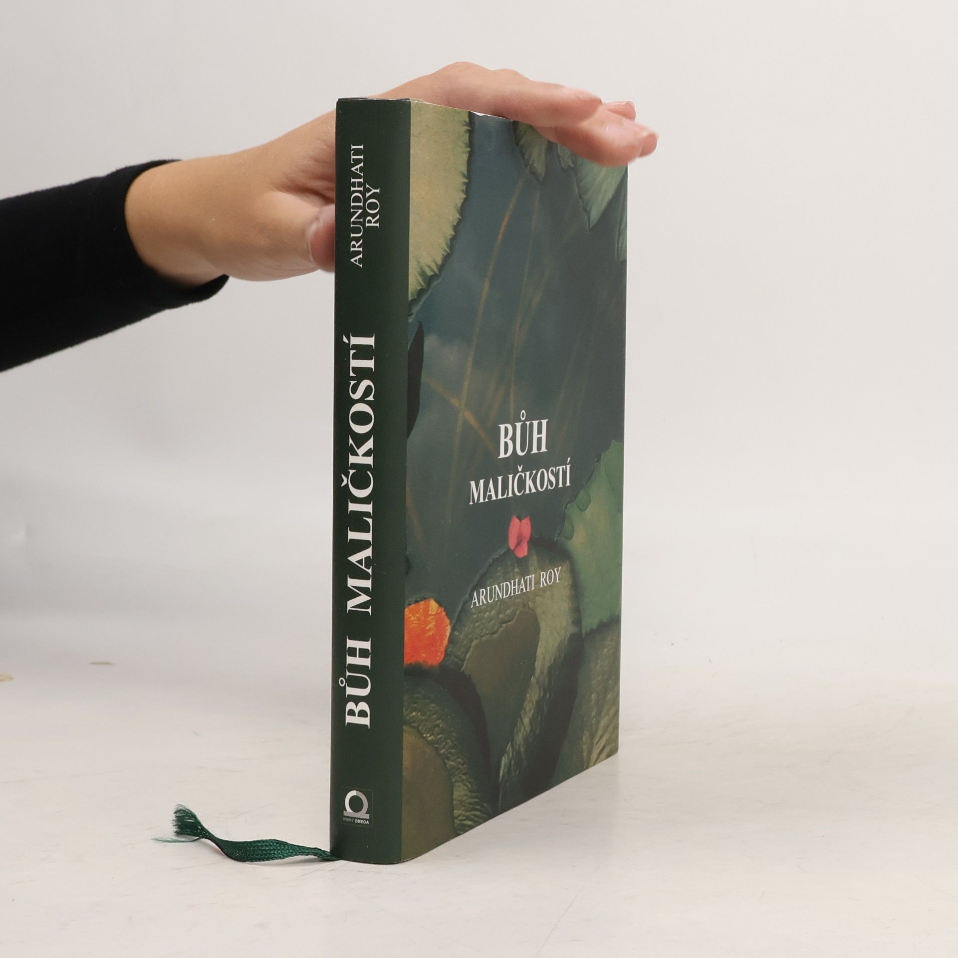 Arundhati Roy Bůh maličkostí