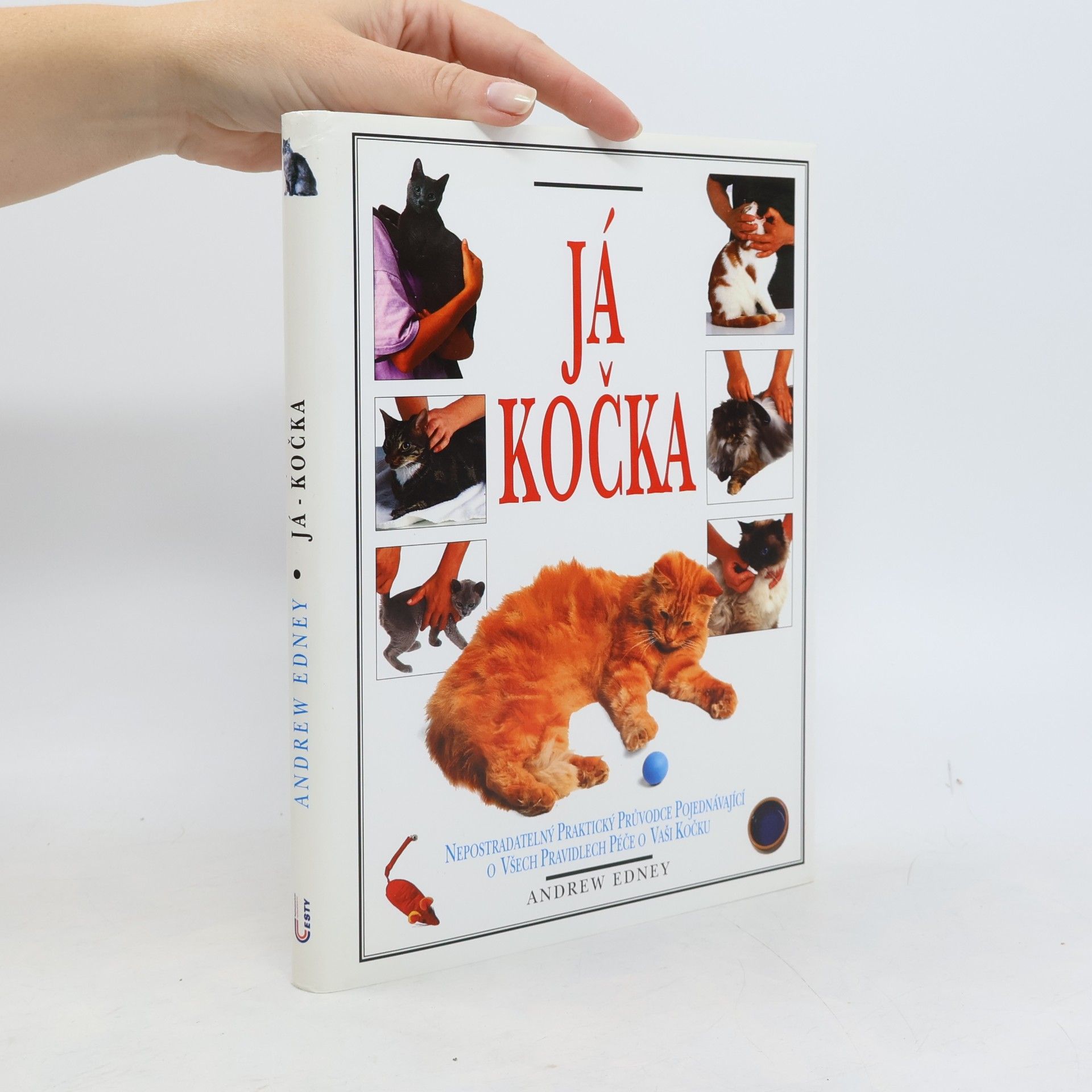 Já kočka