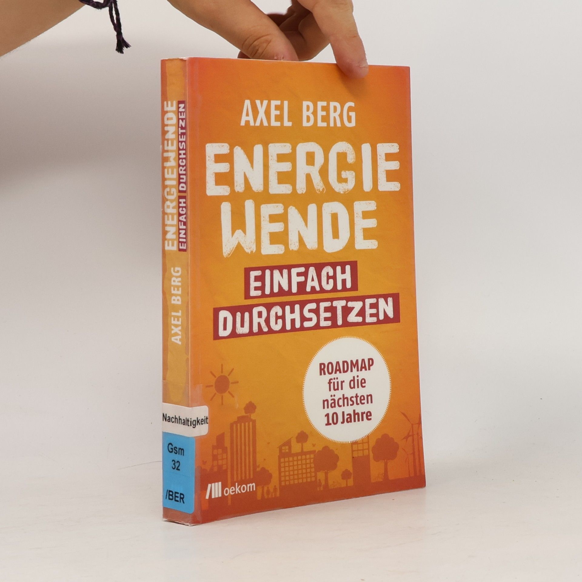 Axel Berg Energiewende einfach durchsetzen