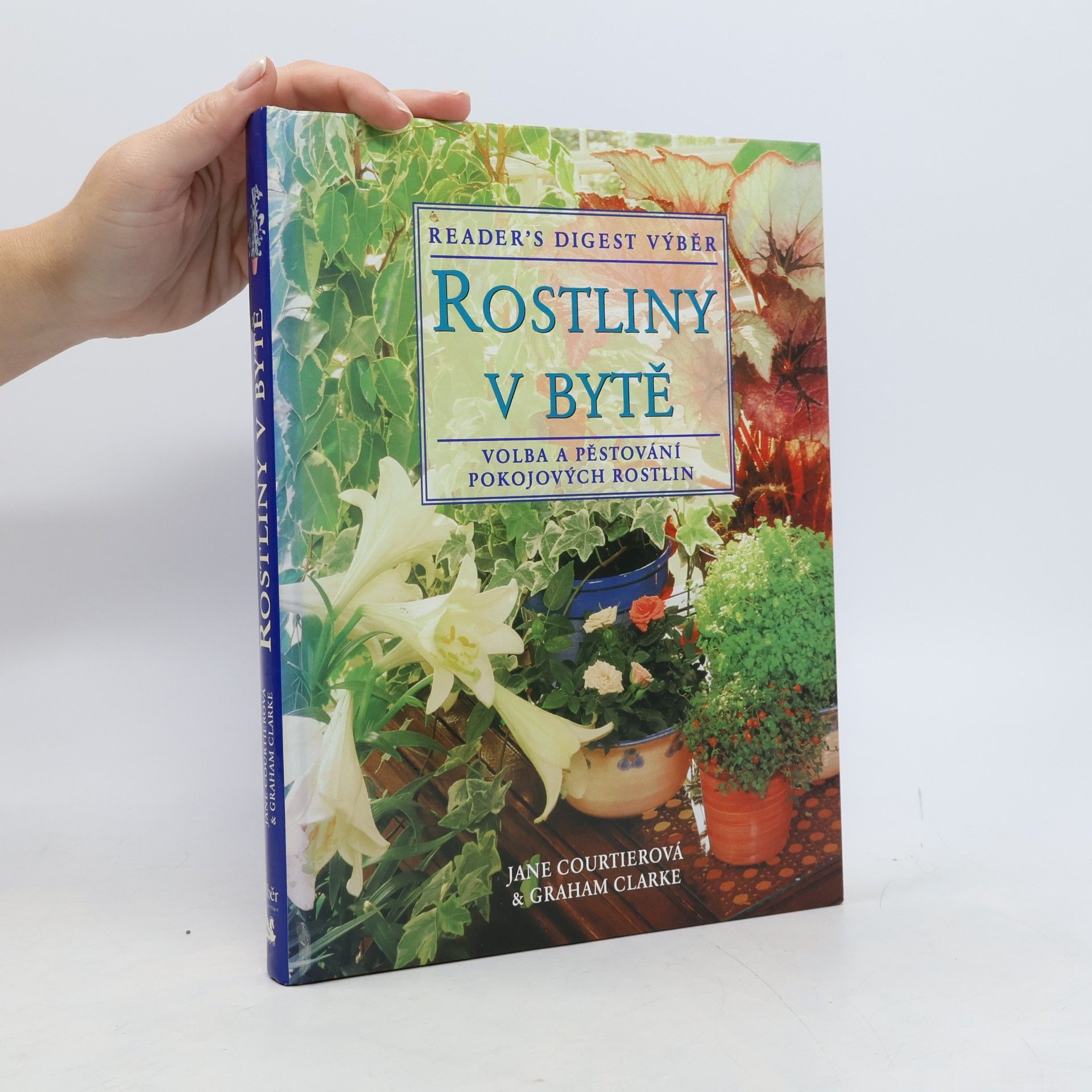 Rostliny v bytě