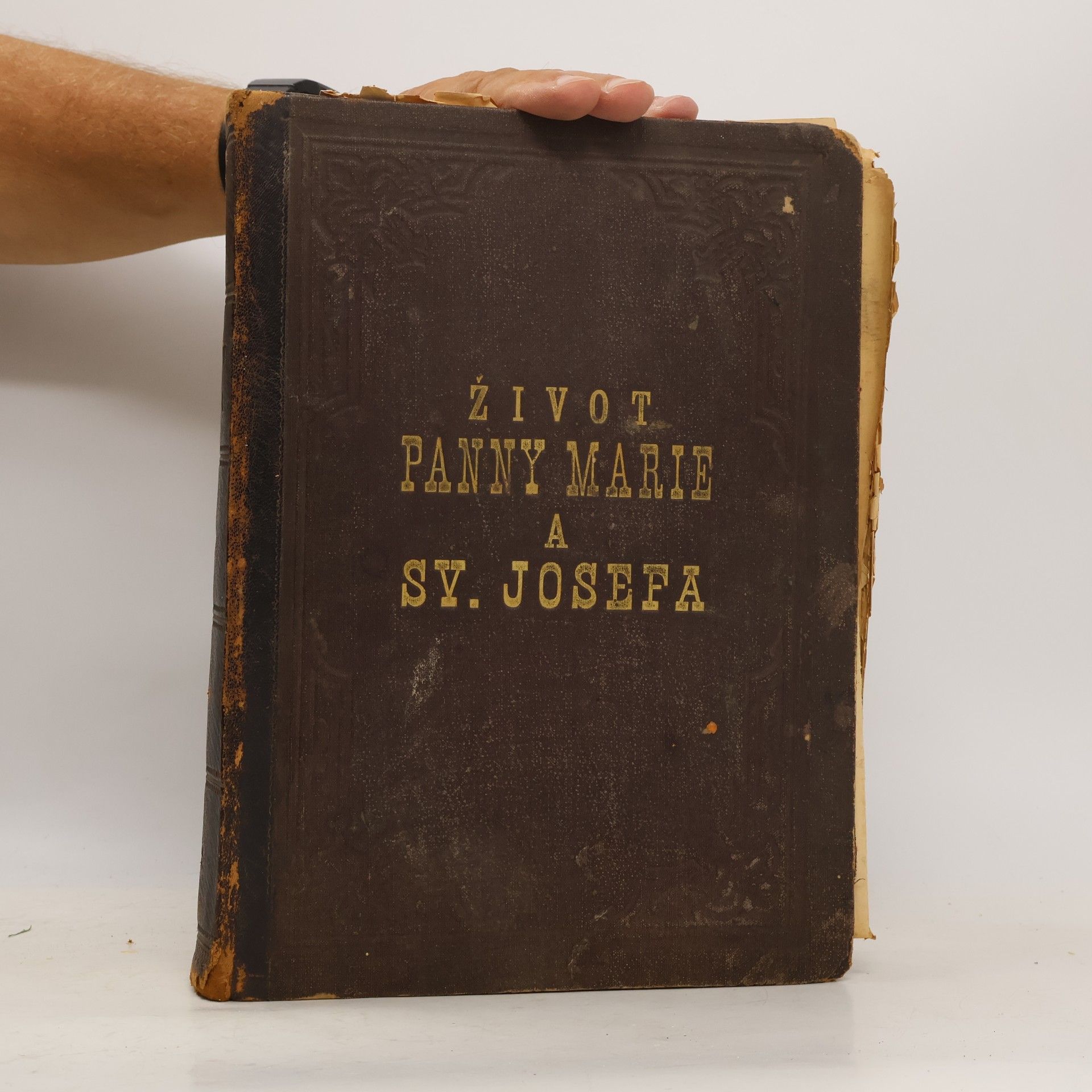 kolektiv Život Panny Marie a Sv. Josefa