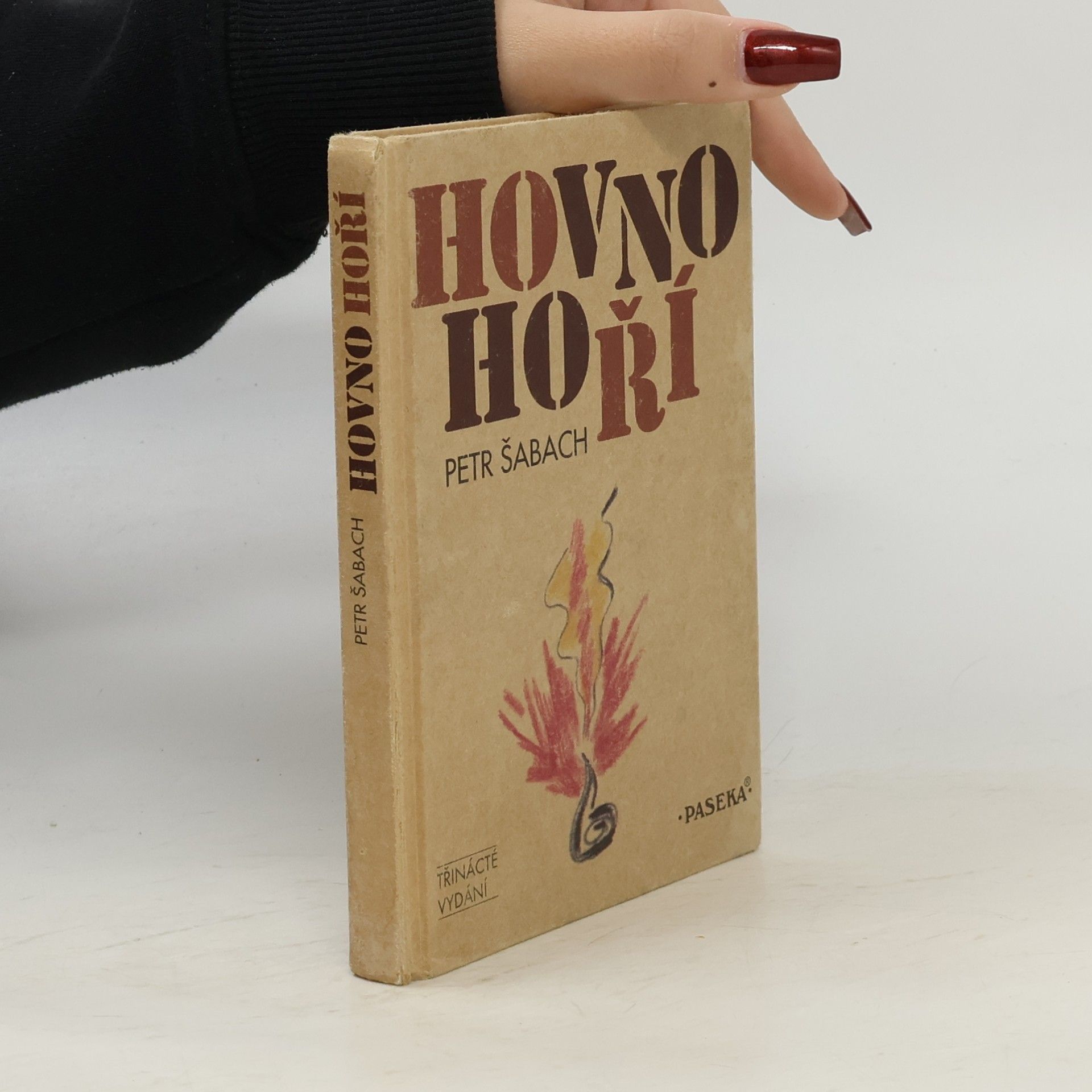 Petr Šabach Hovno hoří