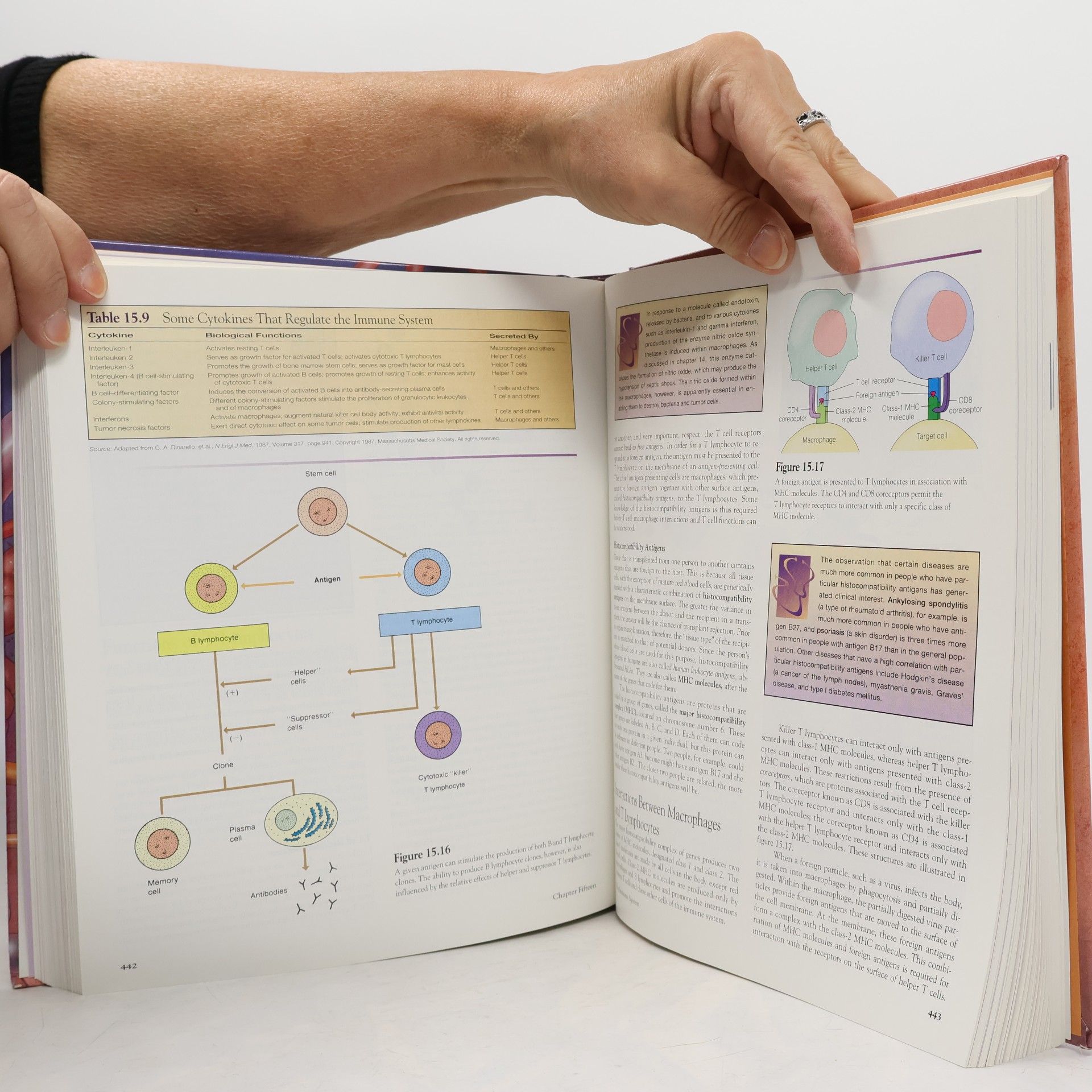 Stuart Ira Fox Human Physiology