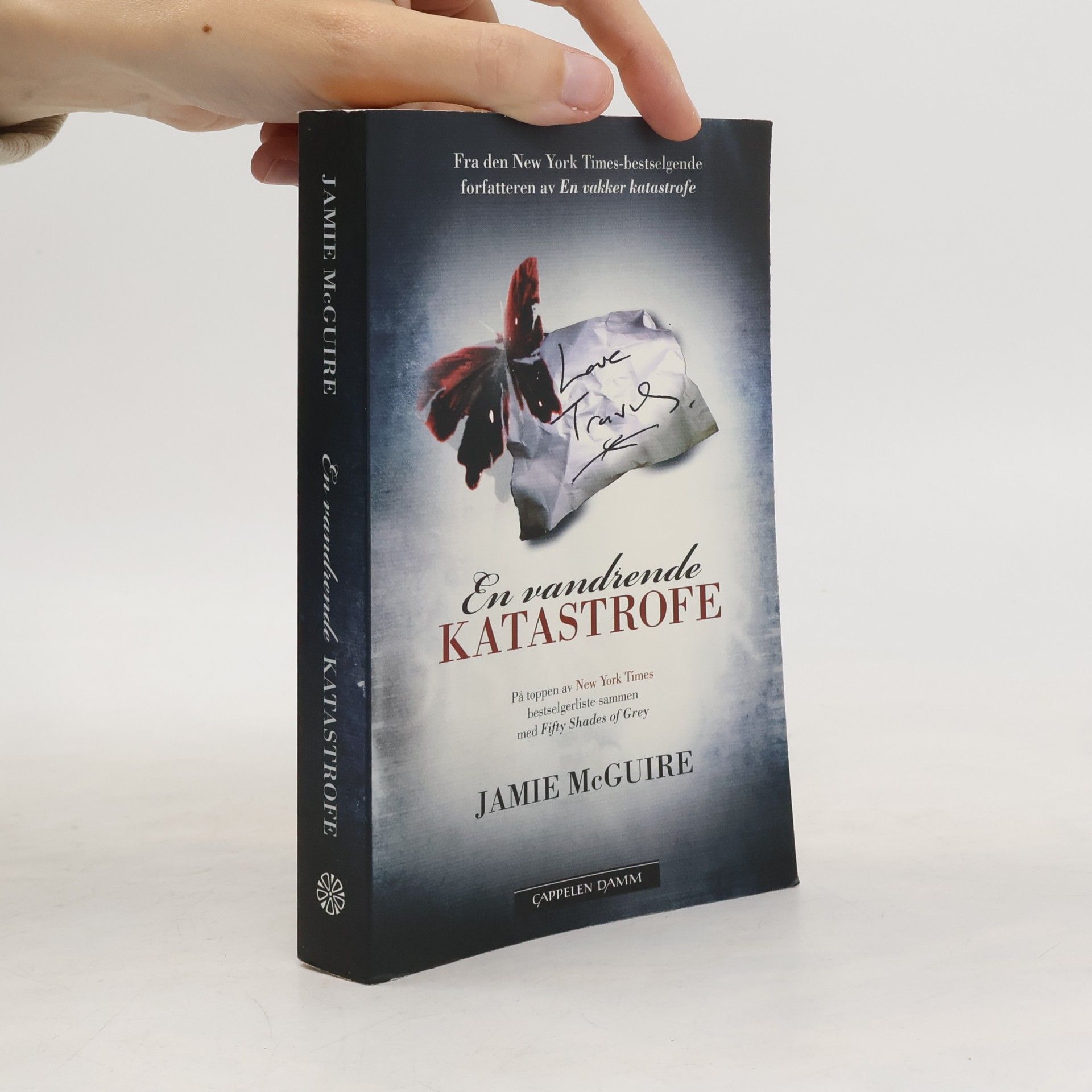 Bente Eilertsen En vandrende katastrofe