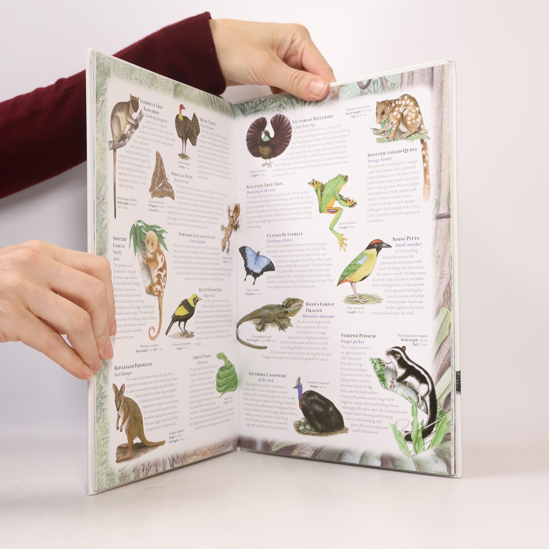 Leonard Cronin The Australian Animal Atlas