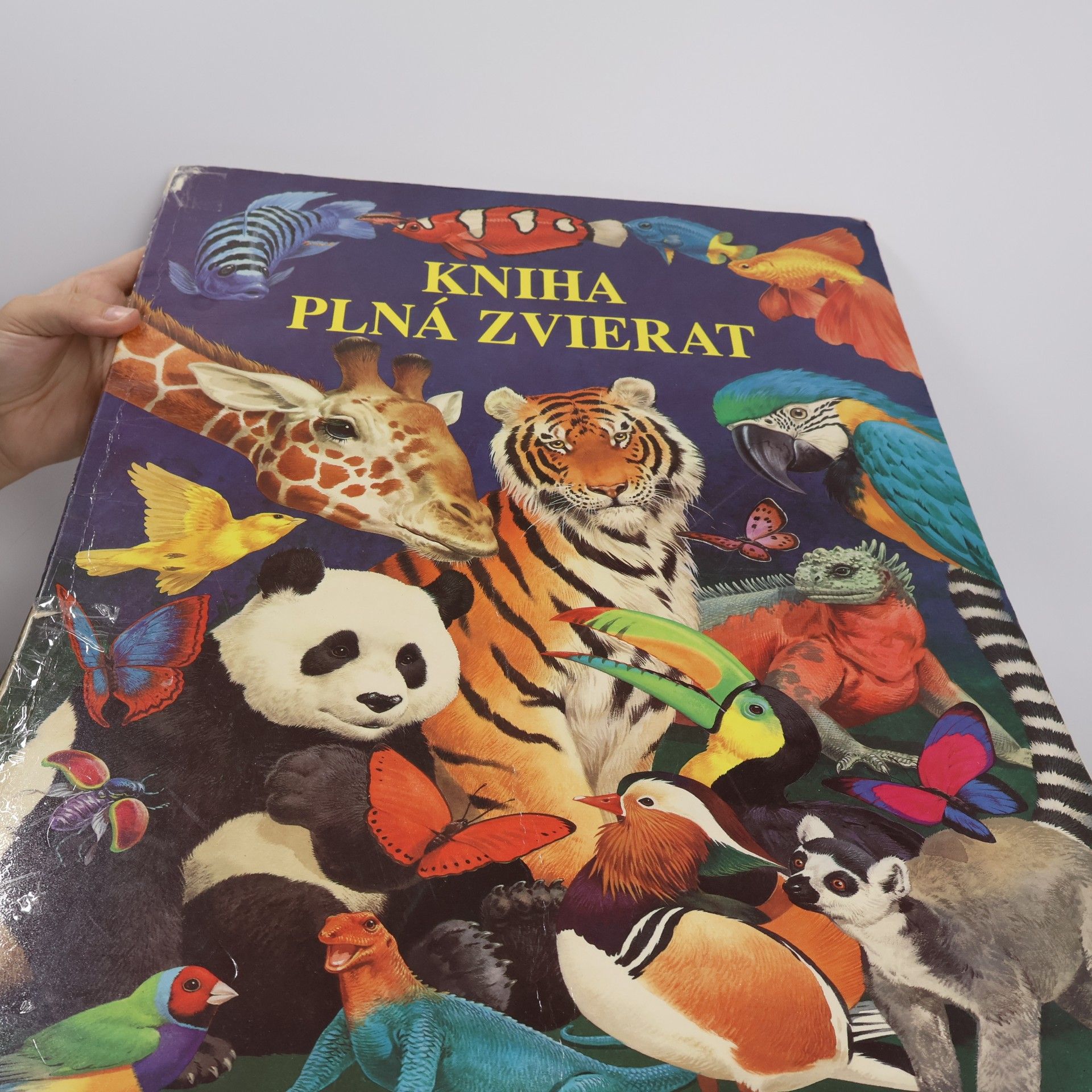 Kniha plná zvierat