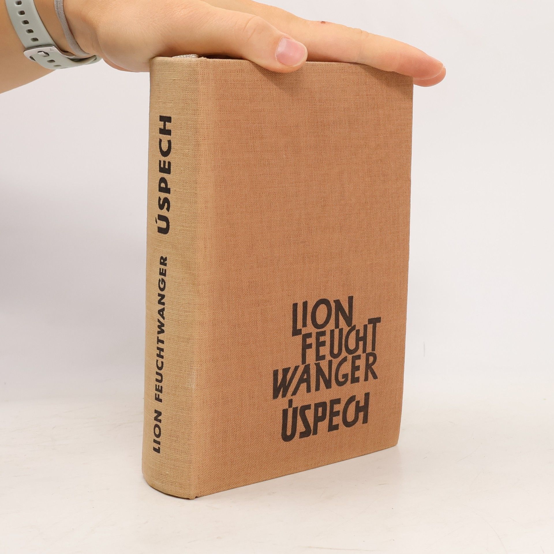 Lion Feuchtwanger Úspech
