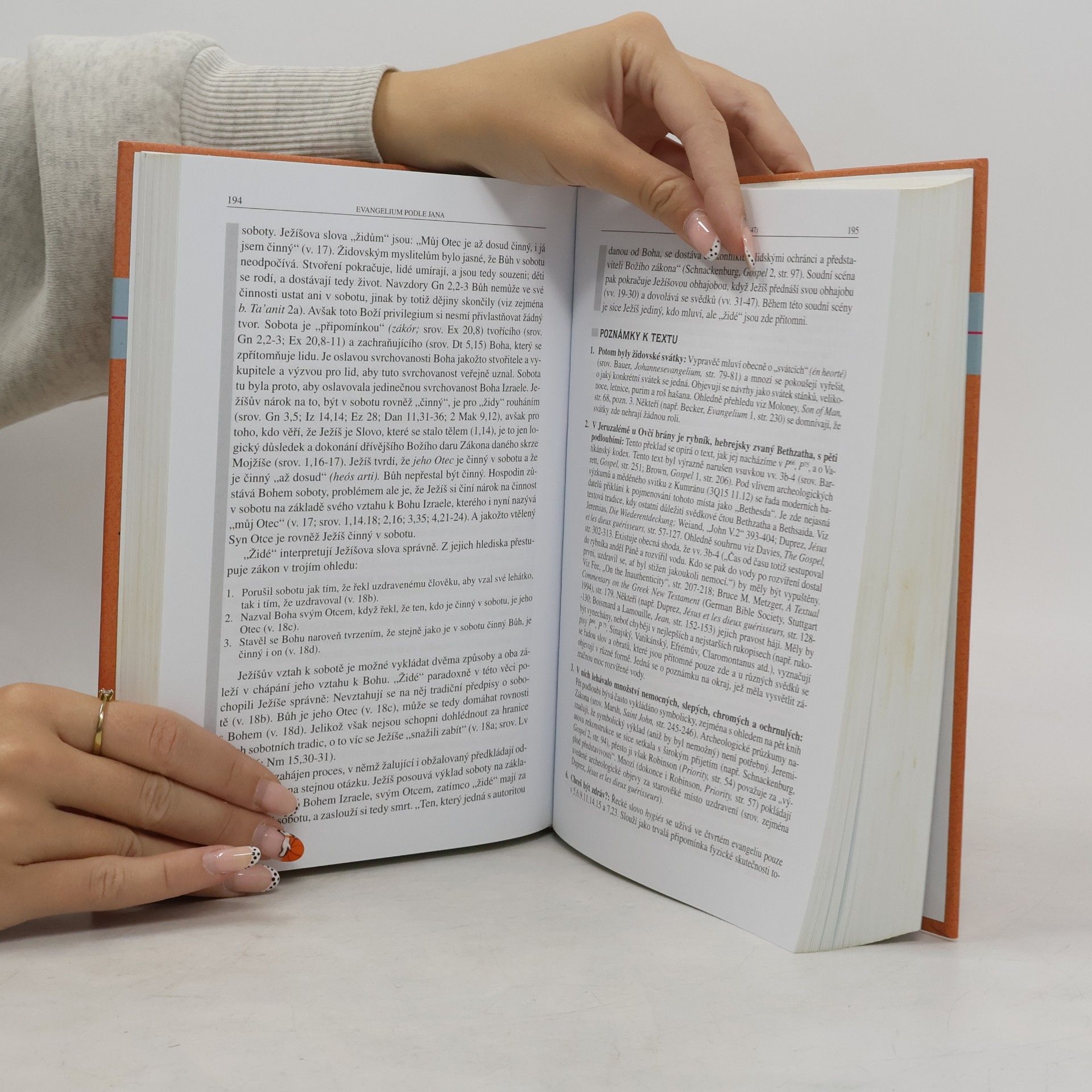 Daniel J. Harrington Evangelium podle Jana