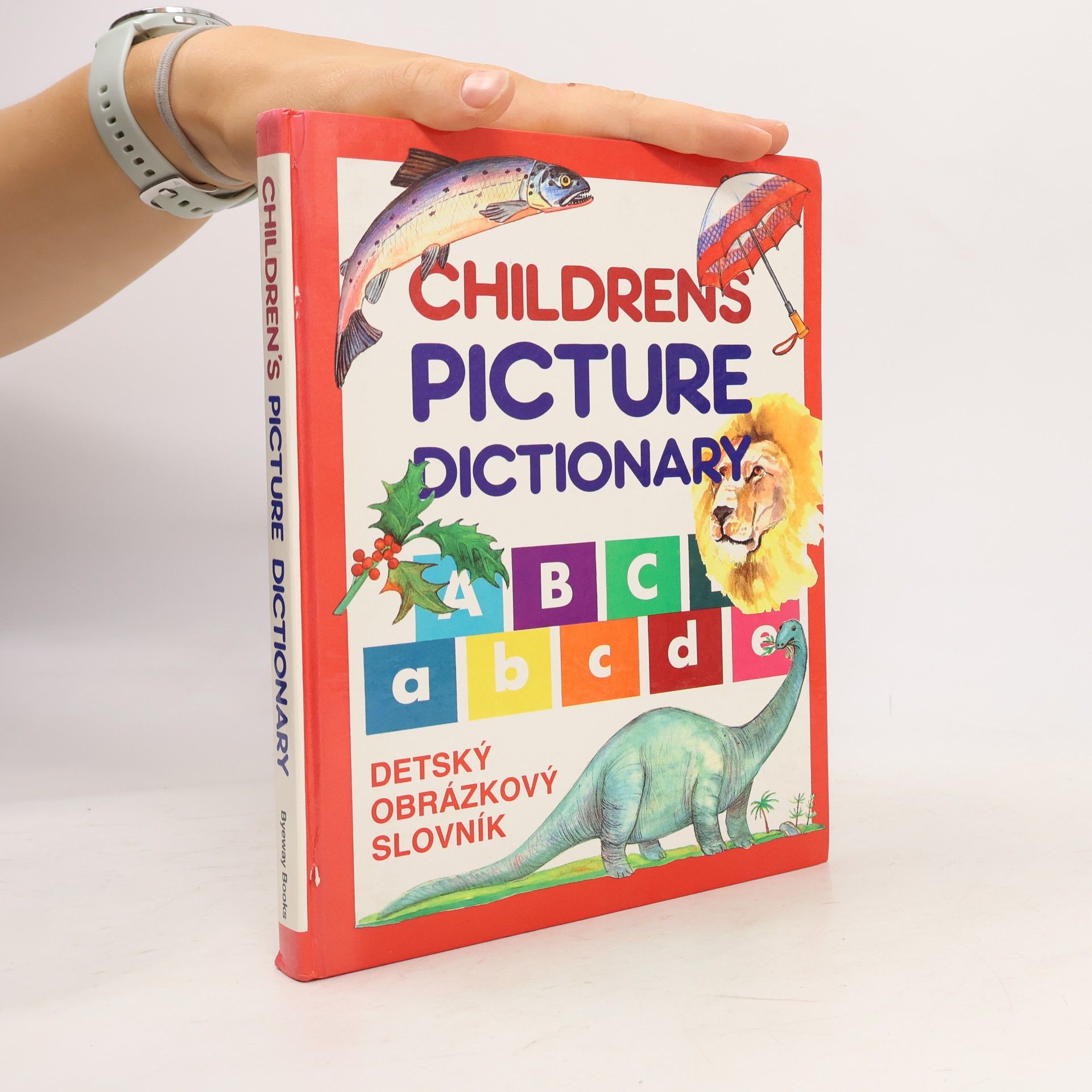 Autorenkollektiv Children's Picture Dictionary