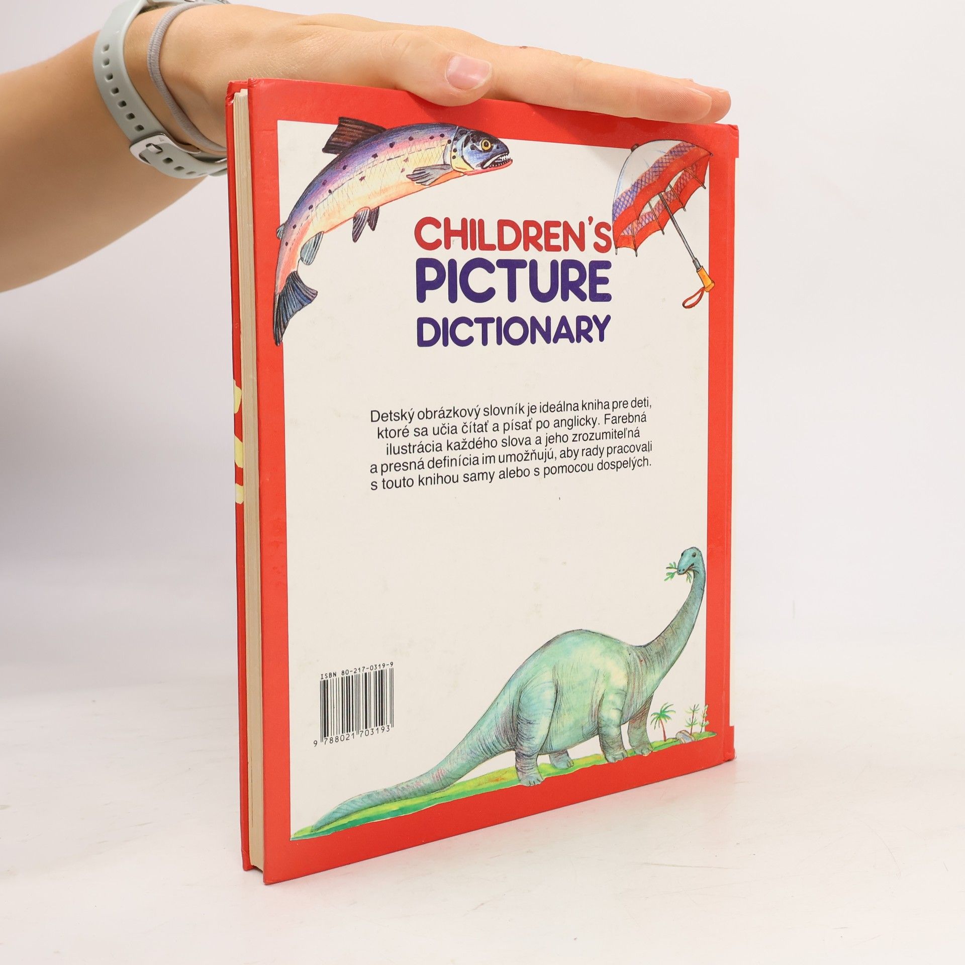 Autorenkollektiv Children's Picture Dictionary
