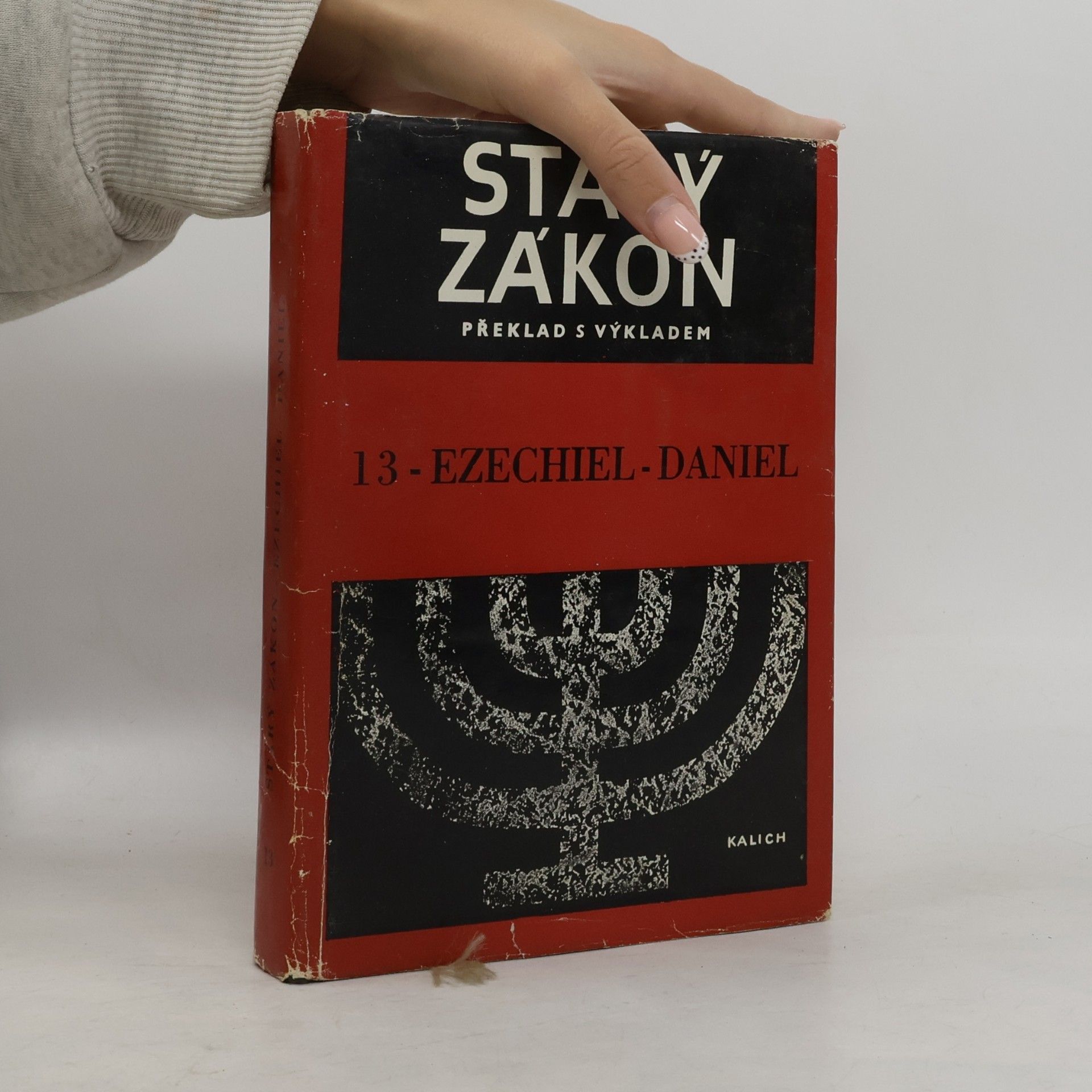 Kolektiv autorů Starý zákon. Překlad s výkladem 13. Ezechiel-Daniel