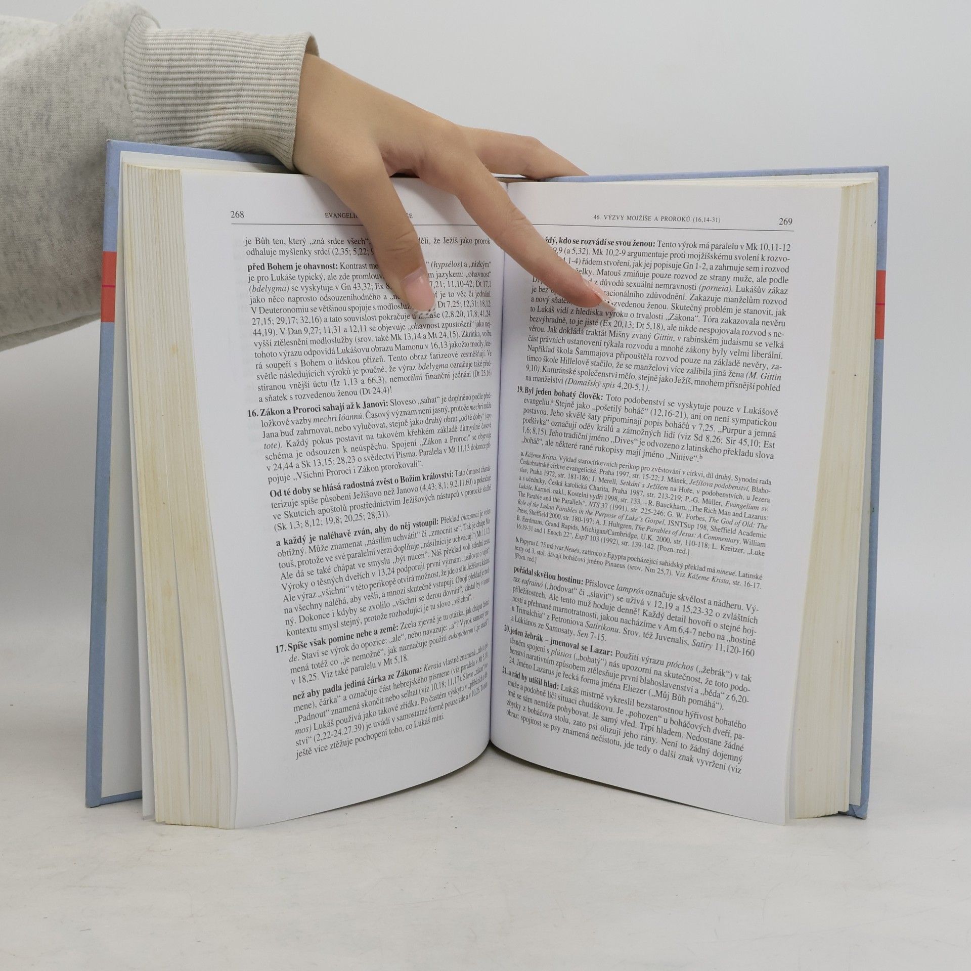 Luke Timothy Johnson Sacra Pagina : Evangelium podle Lukáše
