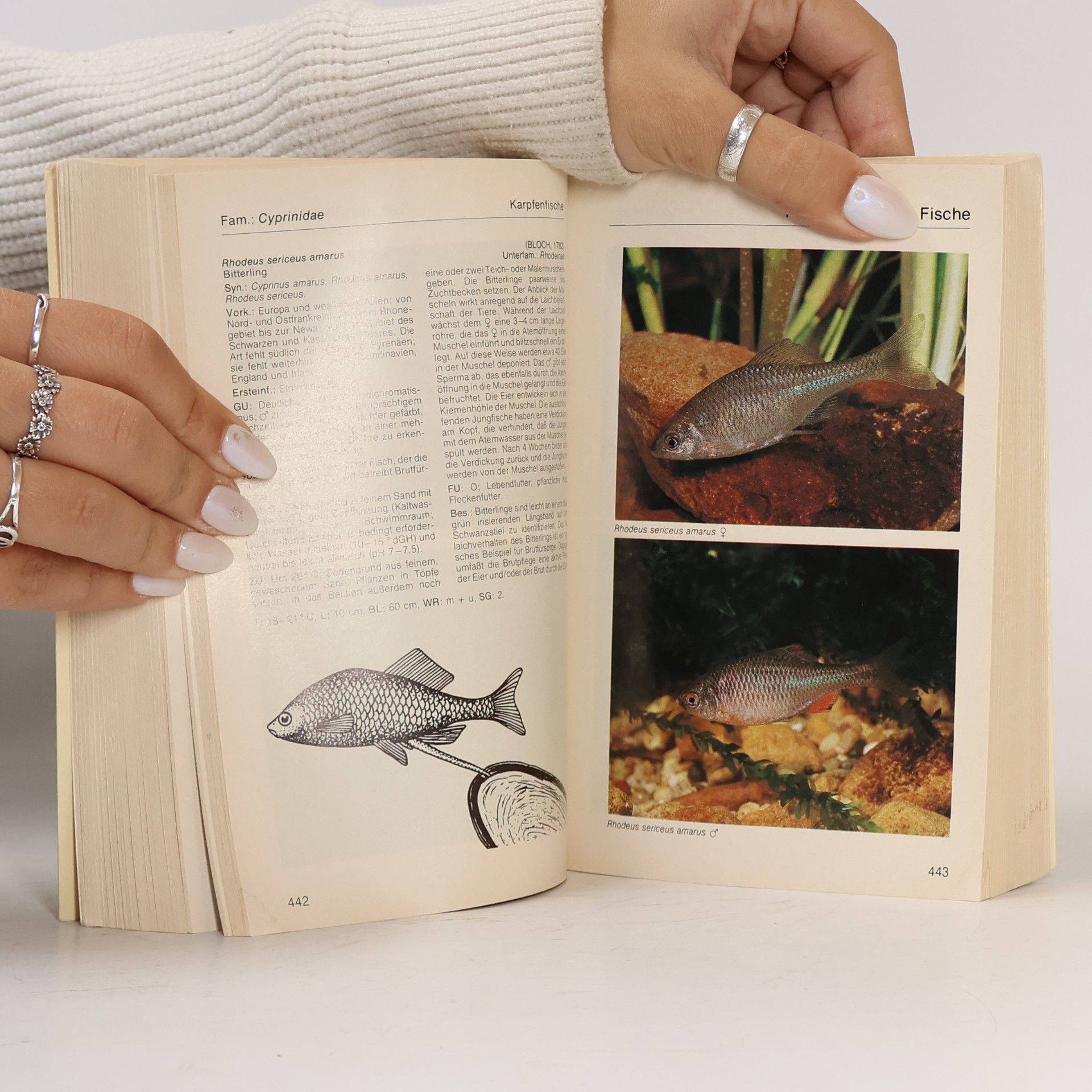 Rüdiger Riehl Aquarien-Atlas