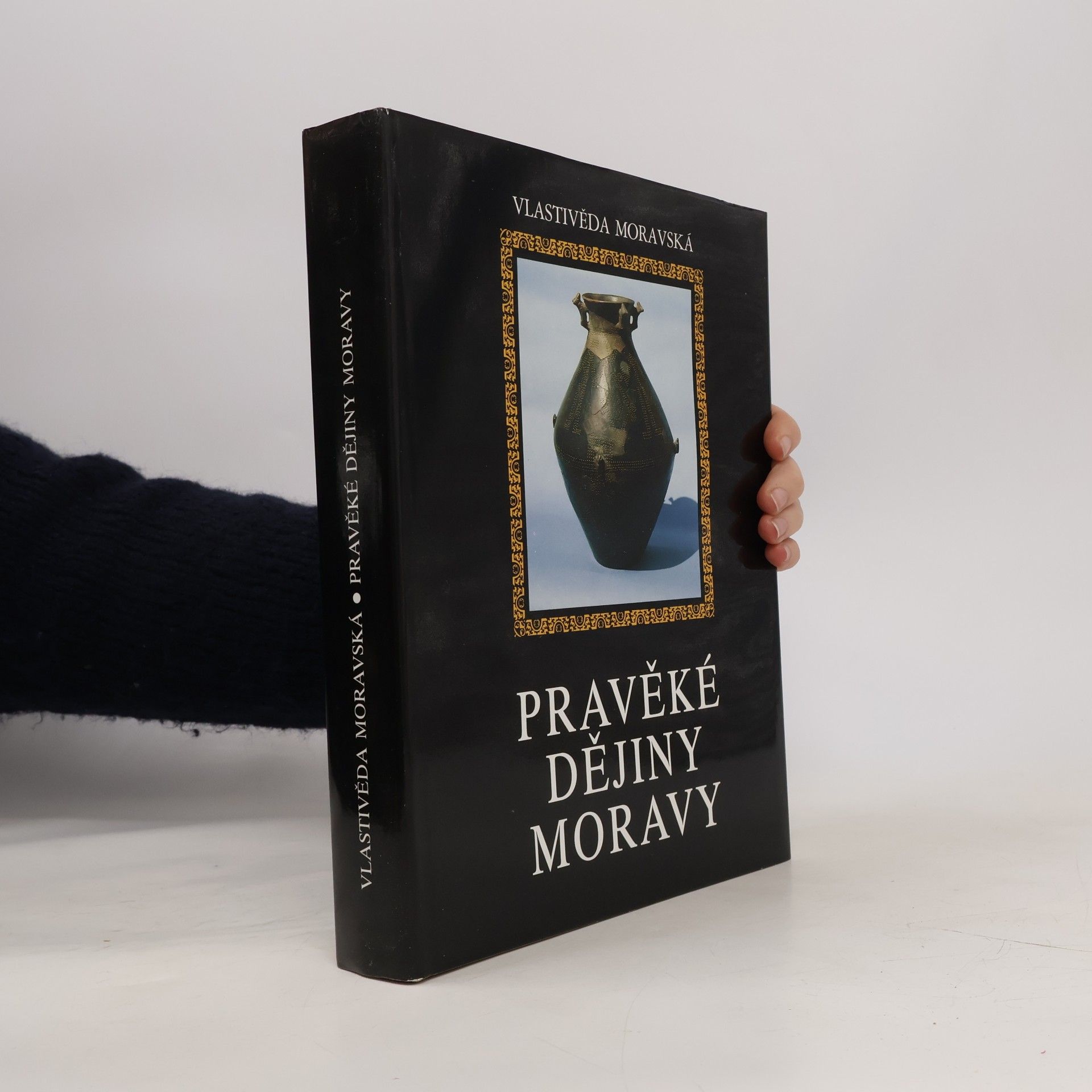 Vladimír Podborský Pravěké dějiny Moravy, Nová řada - Sv. 3