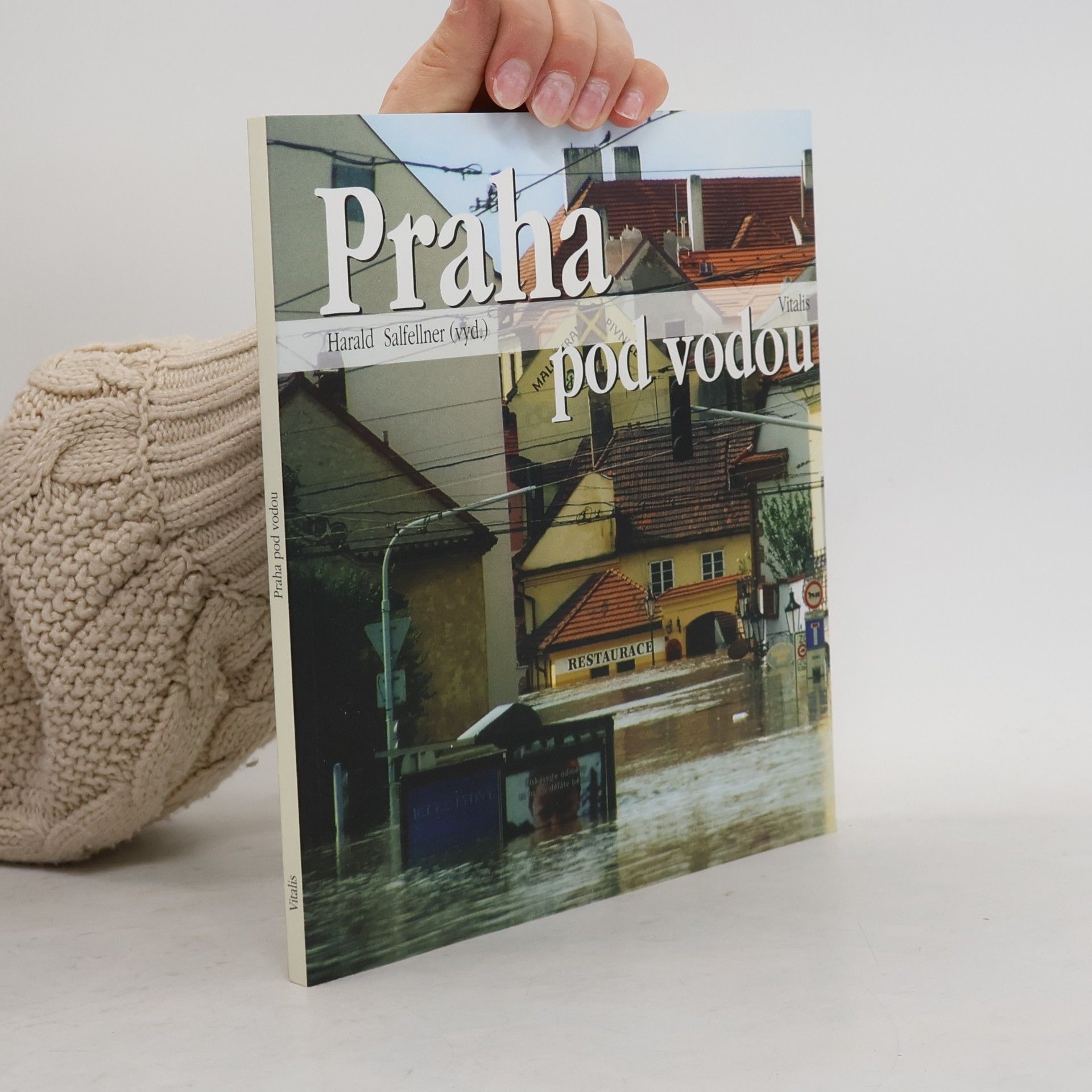 Harald Salfellner Praha pod vodou