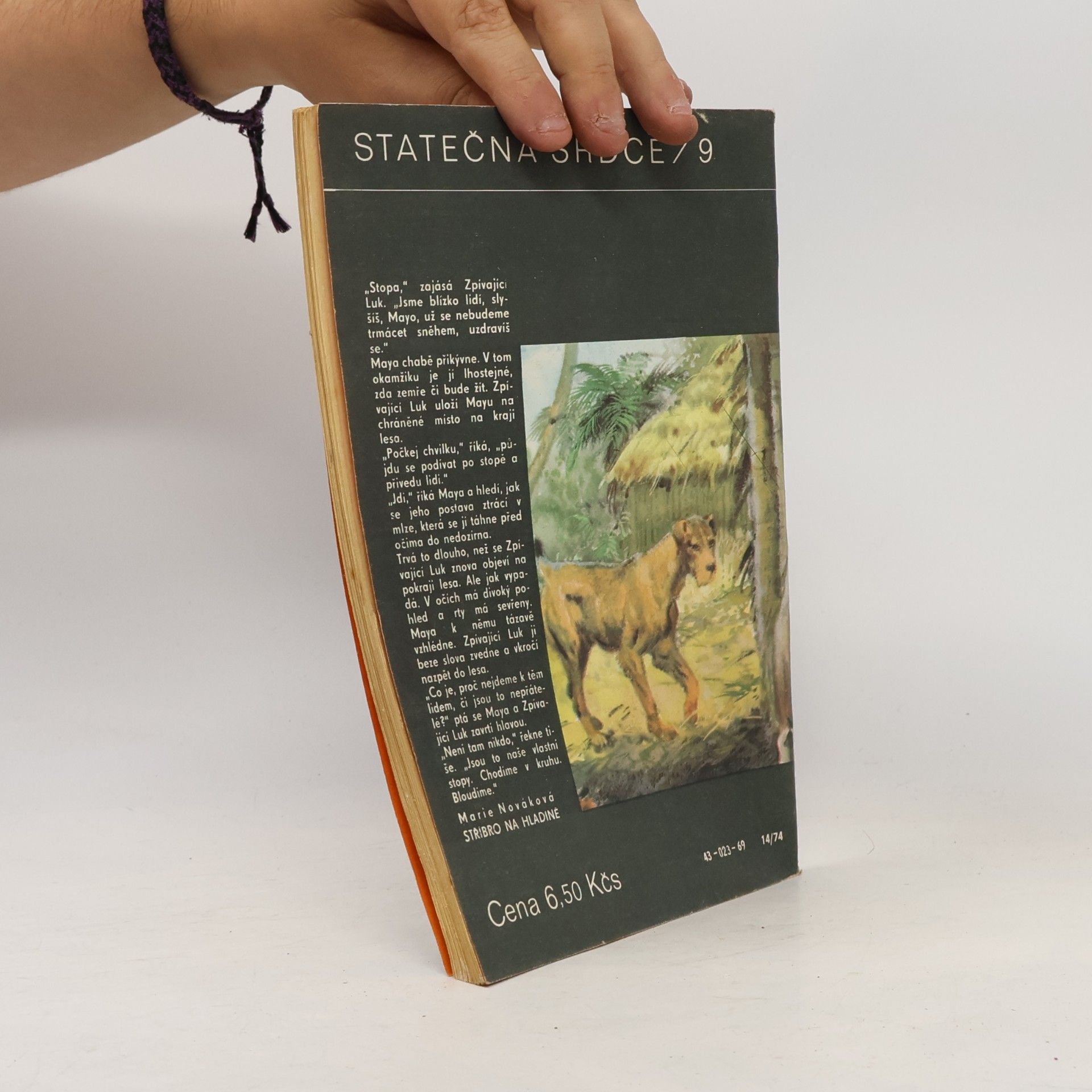 Jack London Statečná srdce 9. Jerry z ostrovů