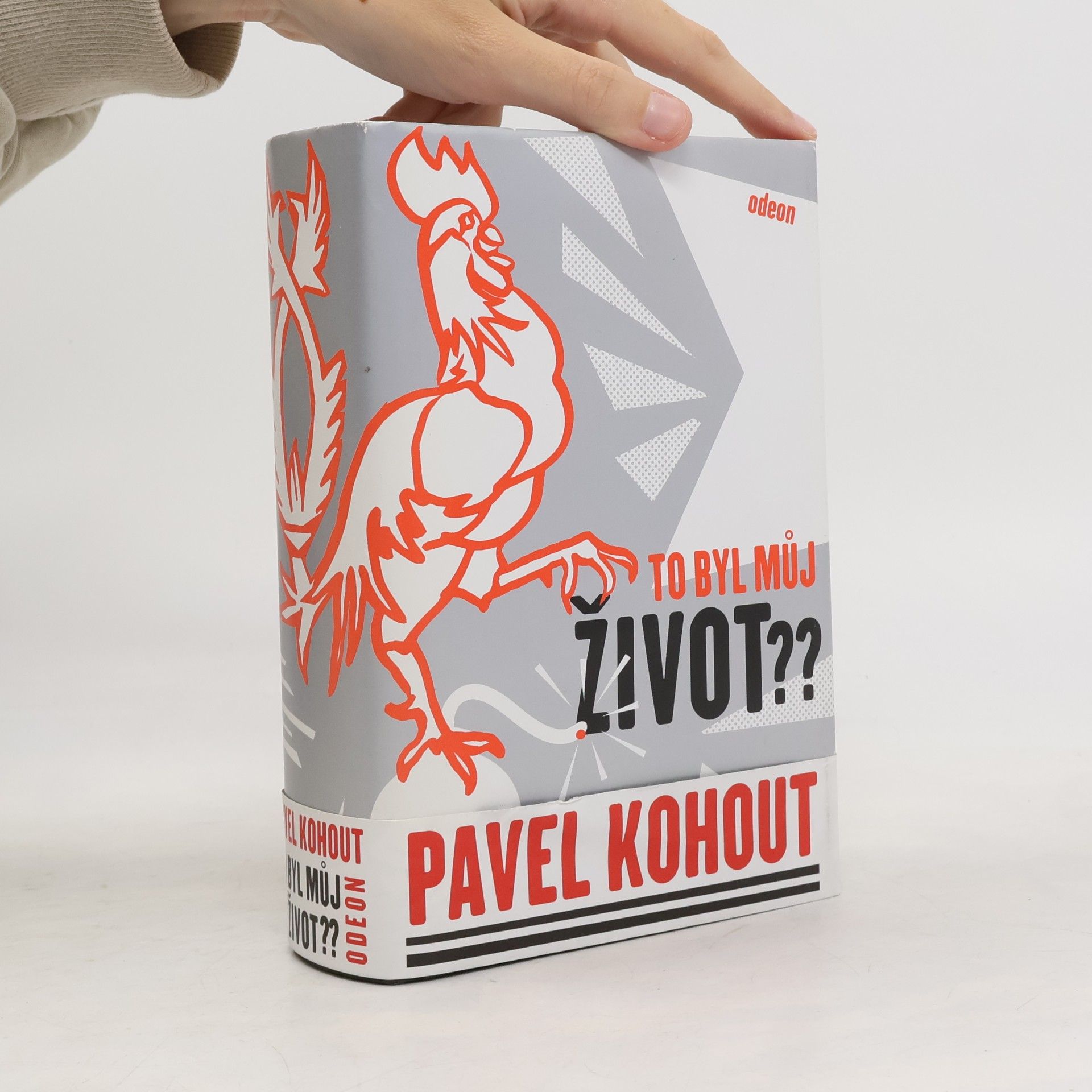 To byl můj život??