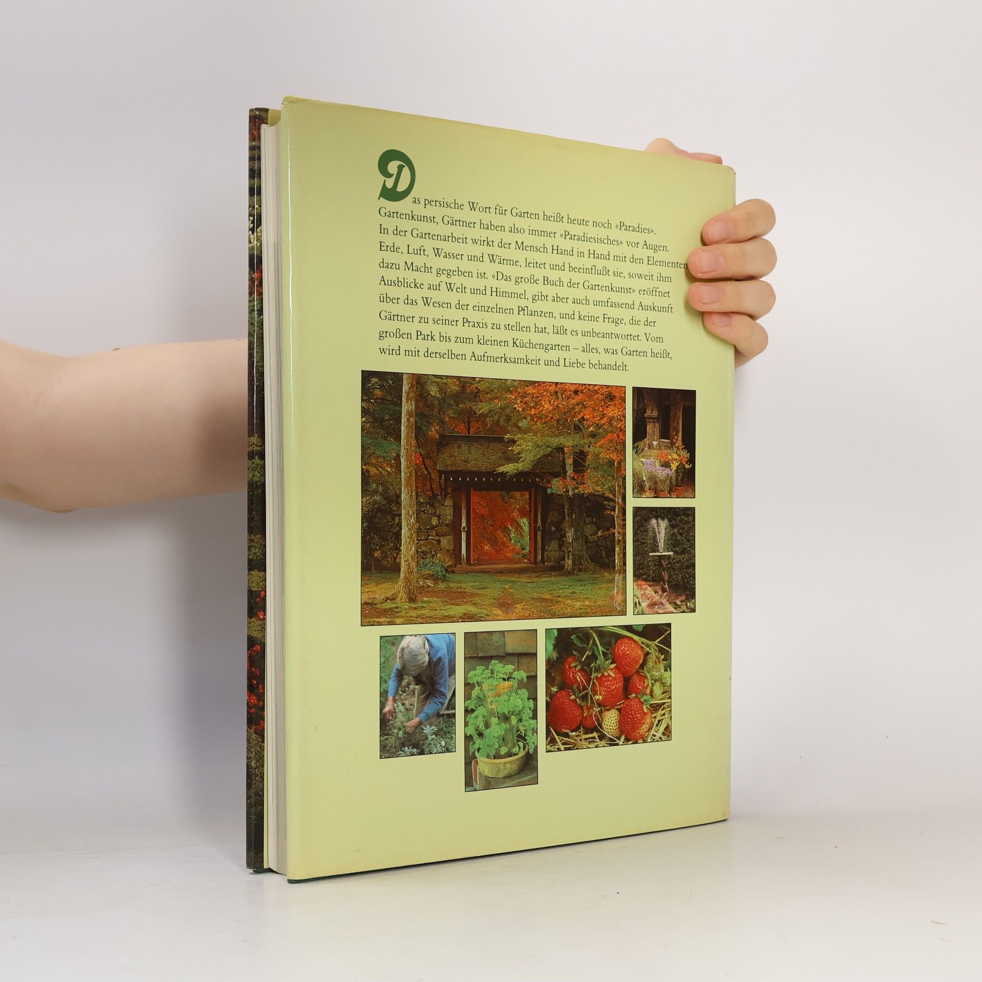 Hugh Johnson Das große Buch der Gartenkunst