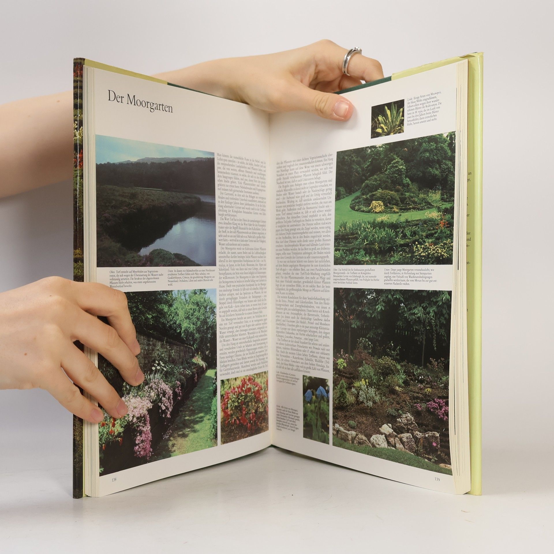 Hugh Johnson Das große Buch der Gartenkunst