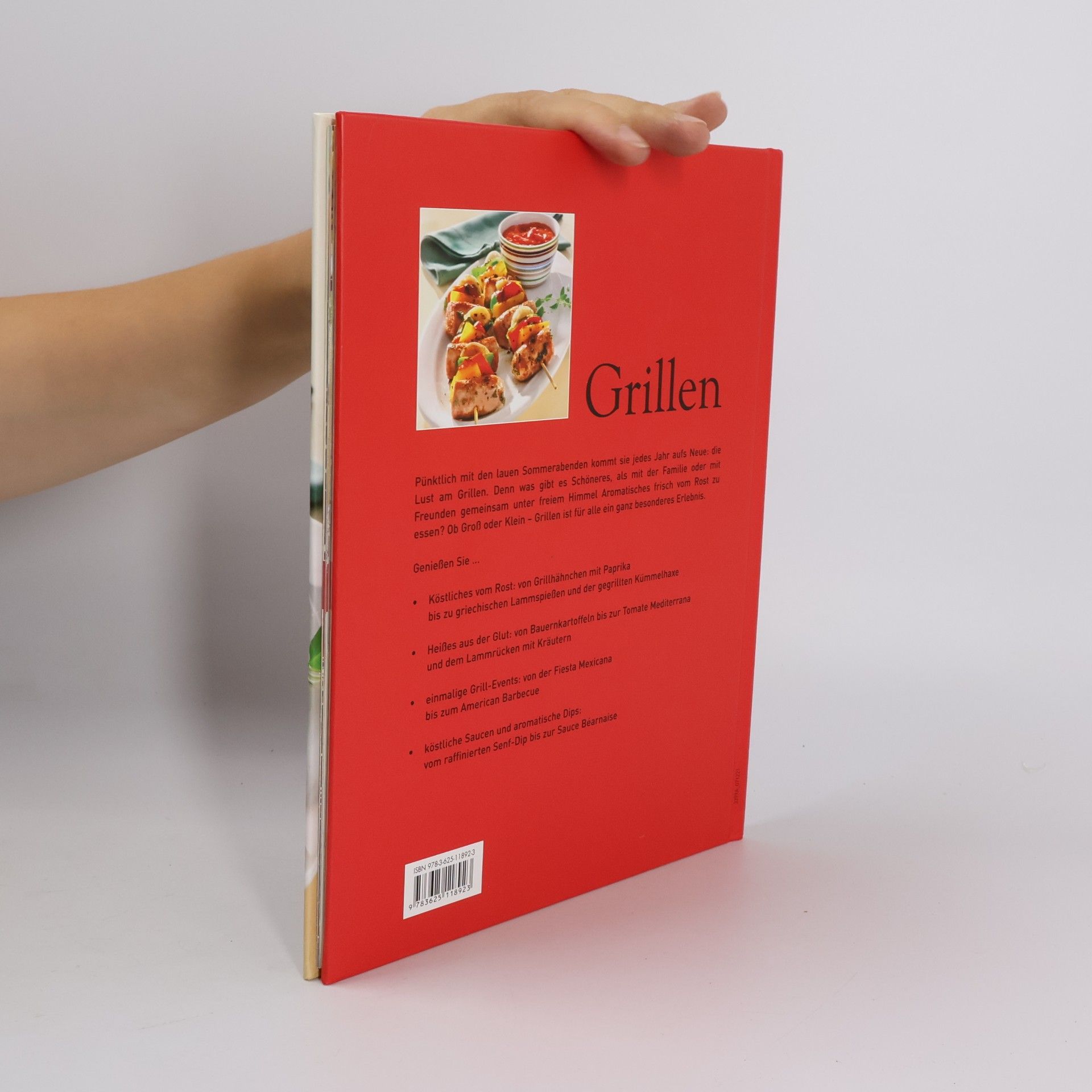 Kolektív autorov Grillen