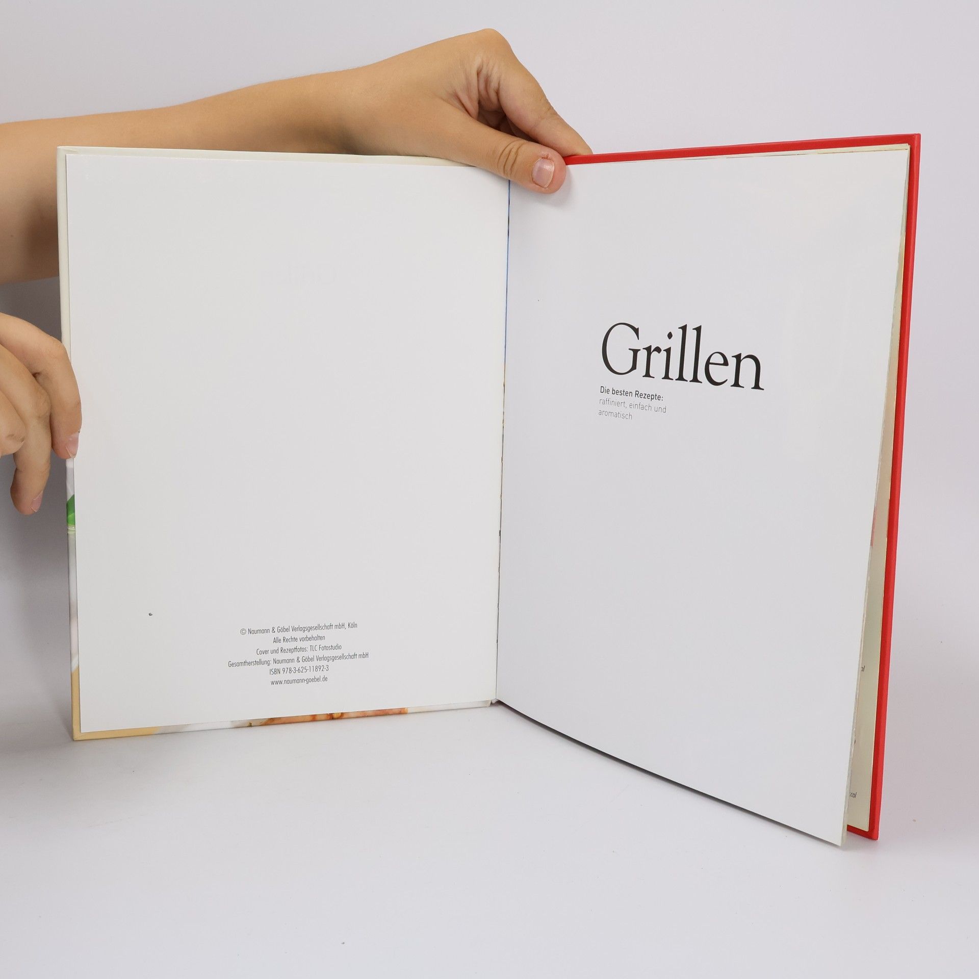 Kolektív autorov Grillen