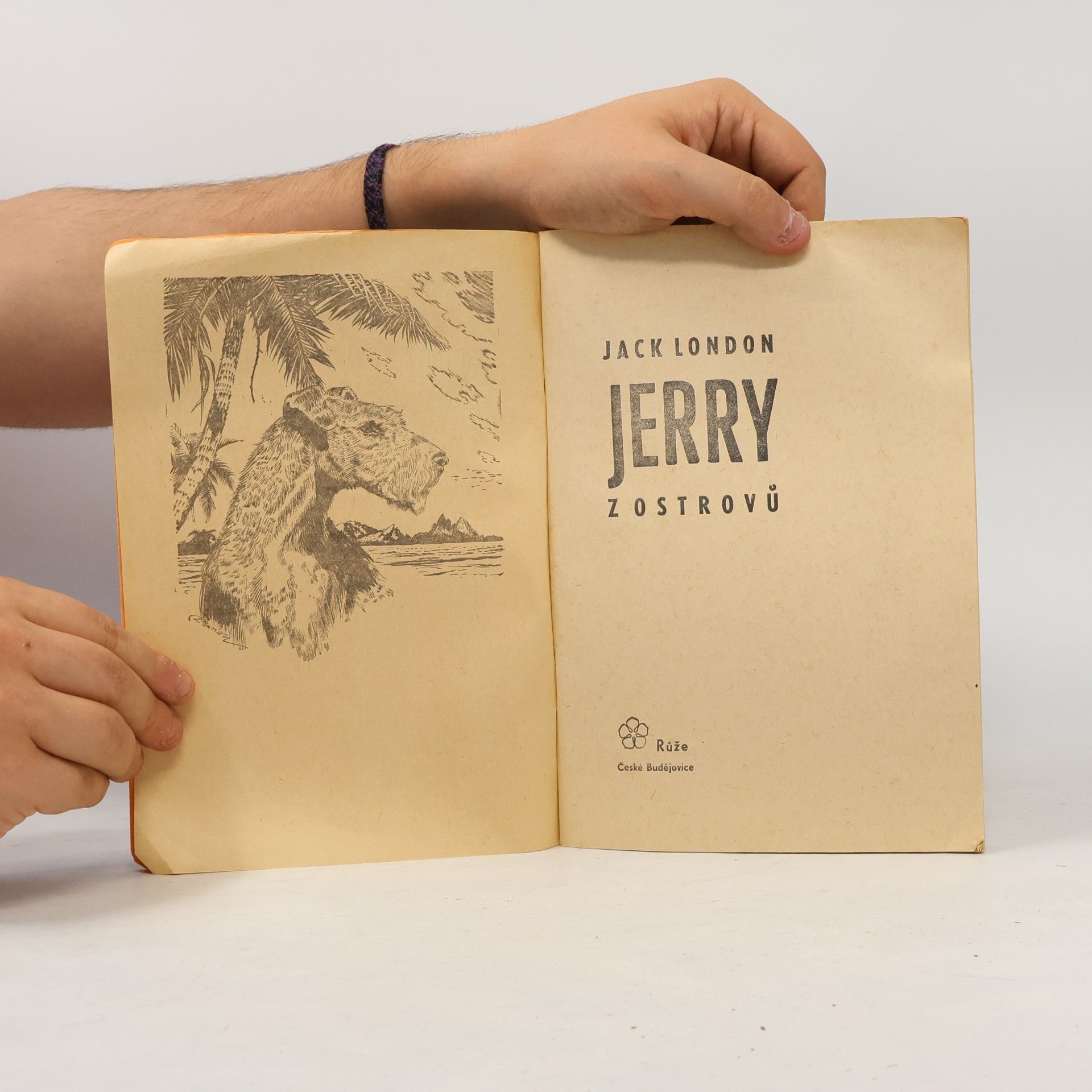 Jack London Statečná srdce 8. Jerry z ostrovů